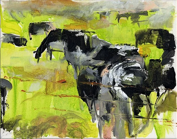 Cows 2