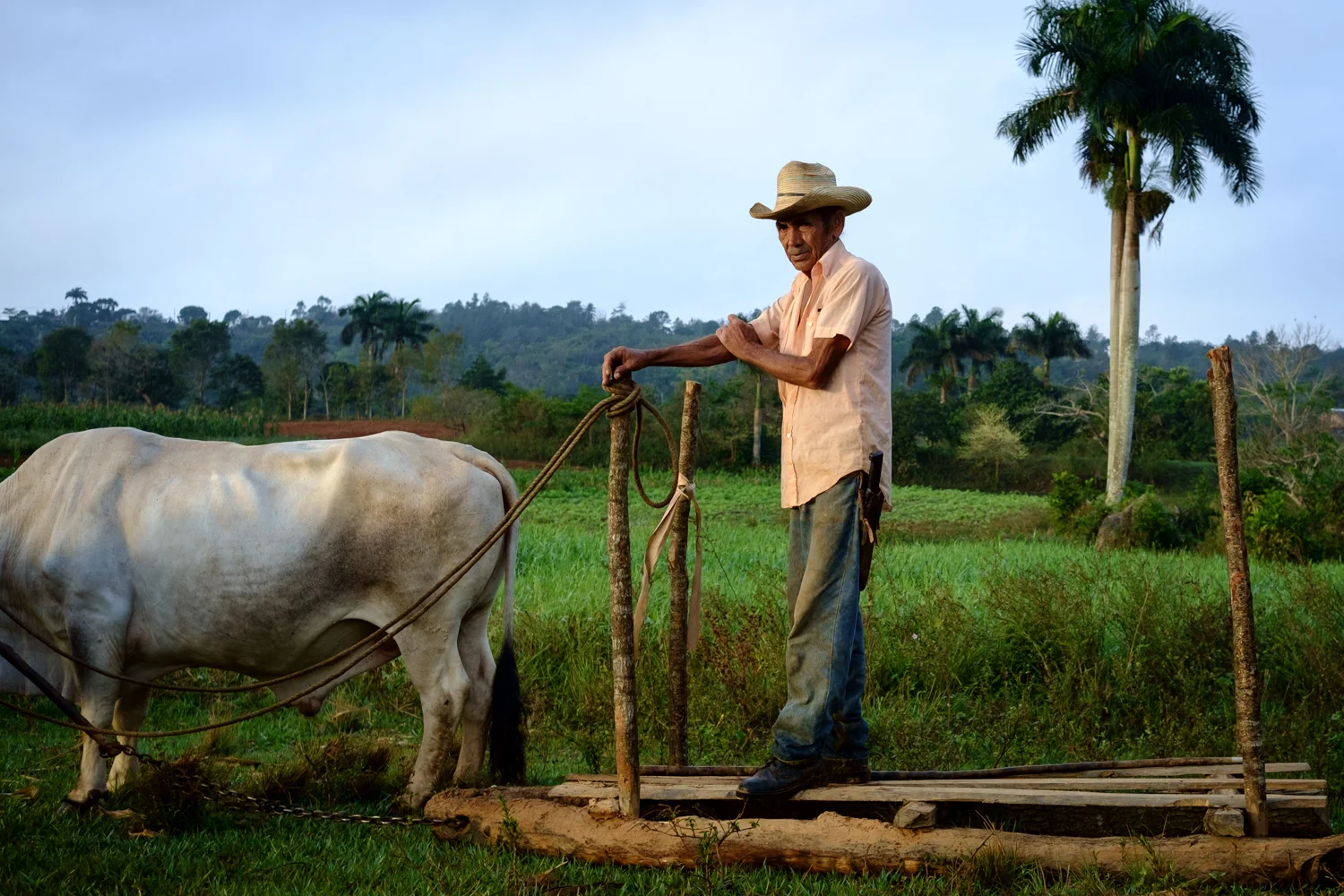 Cuba 19-9.jpg