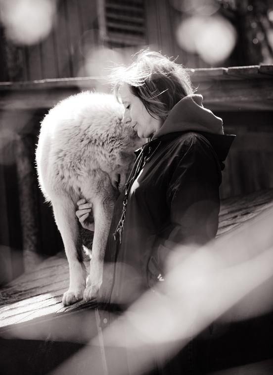Jo-Anne McArthur / We Animals