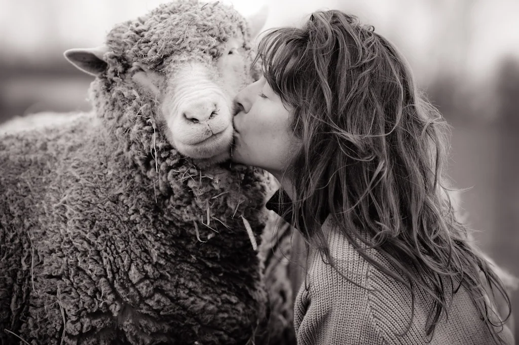 Jo-Anne McArthur / We Animals