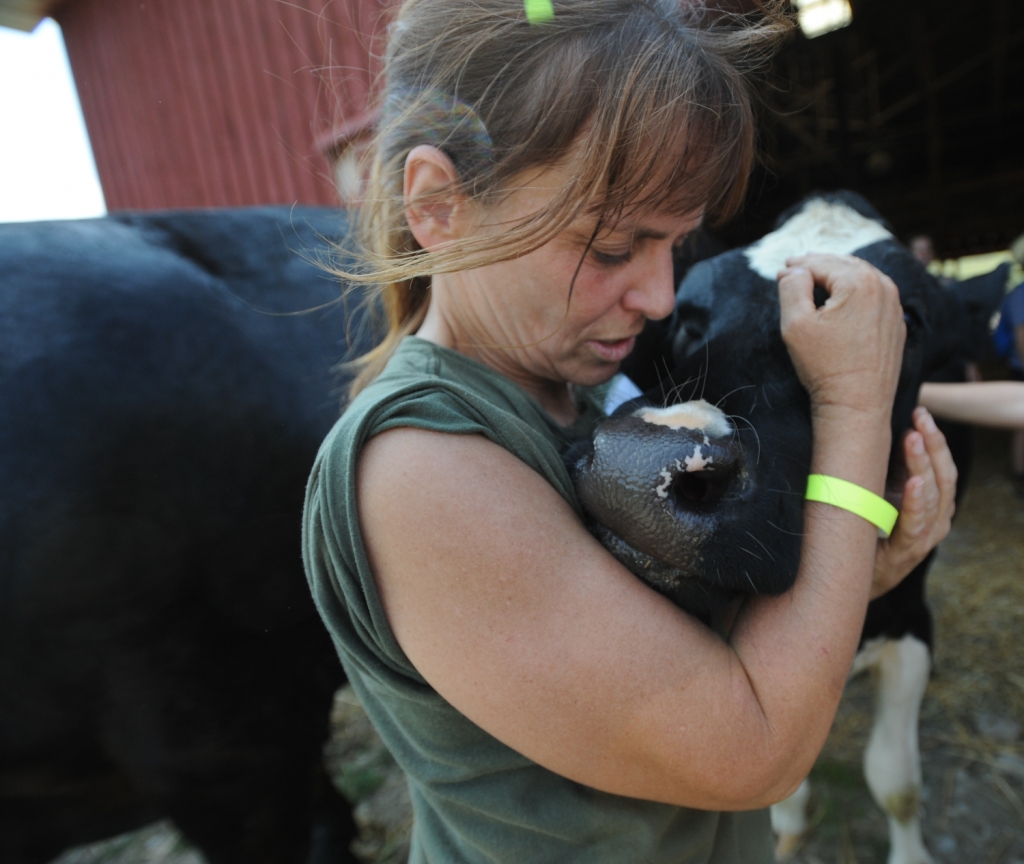 Jo-Anne McArthur / We Animals