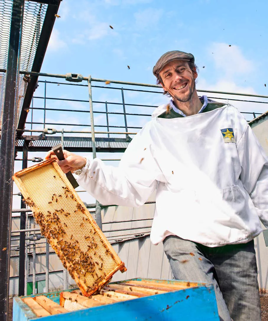 London Honey Company for olive mag