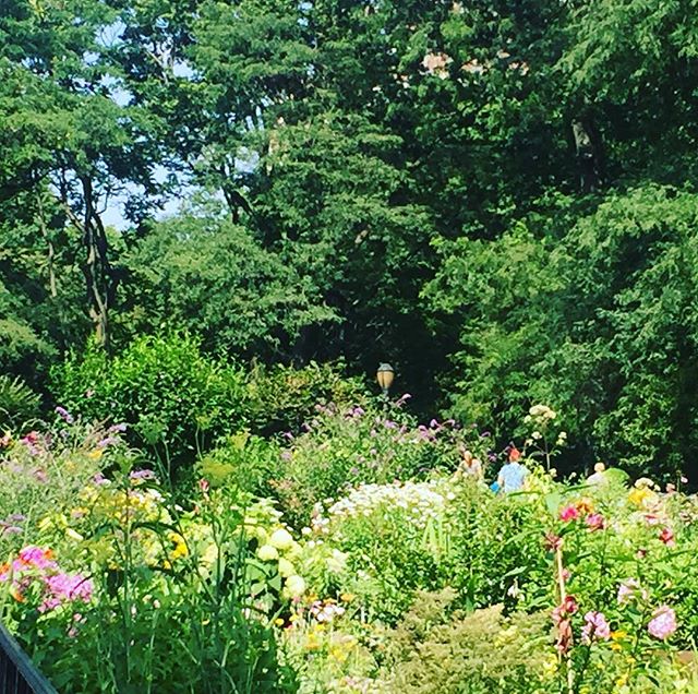 🌺 power #flowers #urbanjungle #nature #riversidepark #greenery #ilovenewyork #igny #stroll #saturday #relax☀️ #takeiteasy