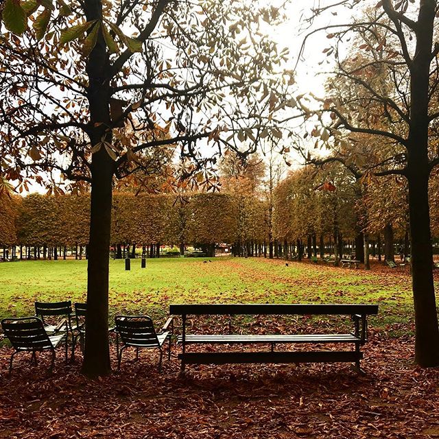 S'&eacute;vader 🍂🍁🐿🦊🌰 #breathe #getaway #escape #herestotheweekend #weekend #weekendvibes #urbannature #fall #paris #tuileries #parisian #igersparis #iloveparis