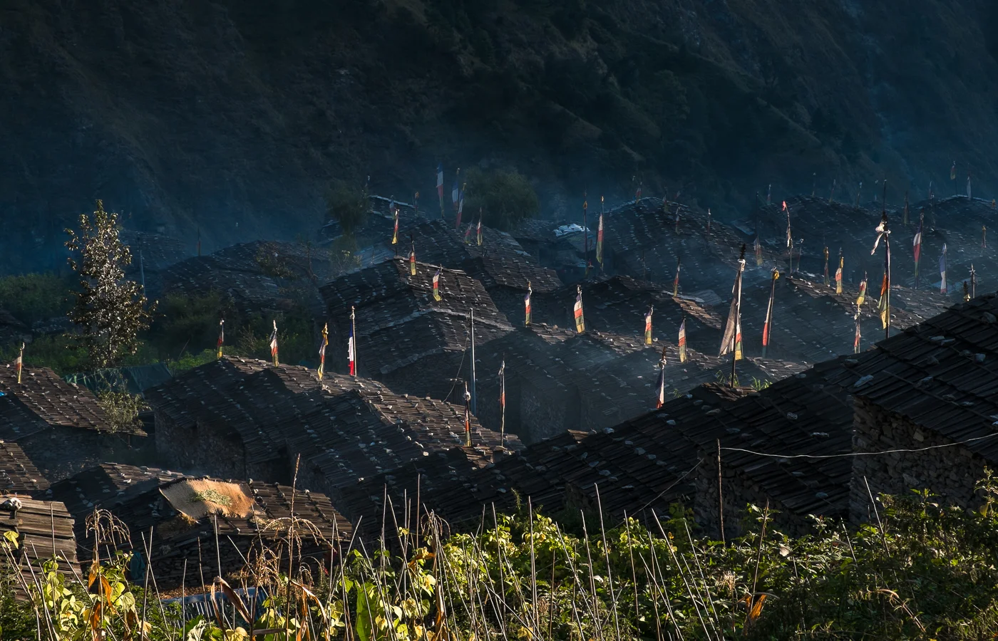 MENDESFLOHR NEPAL 2014-21.jpg