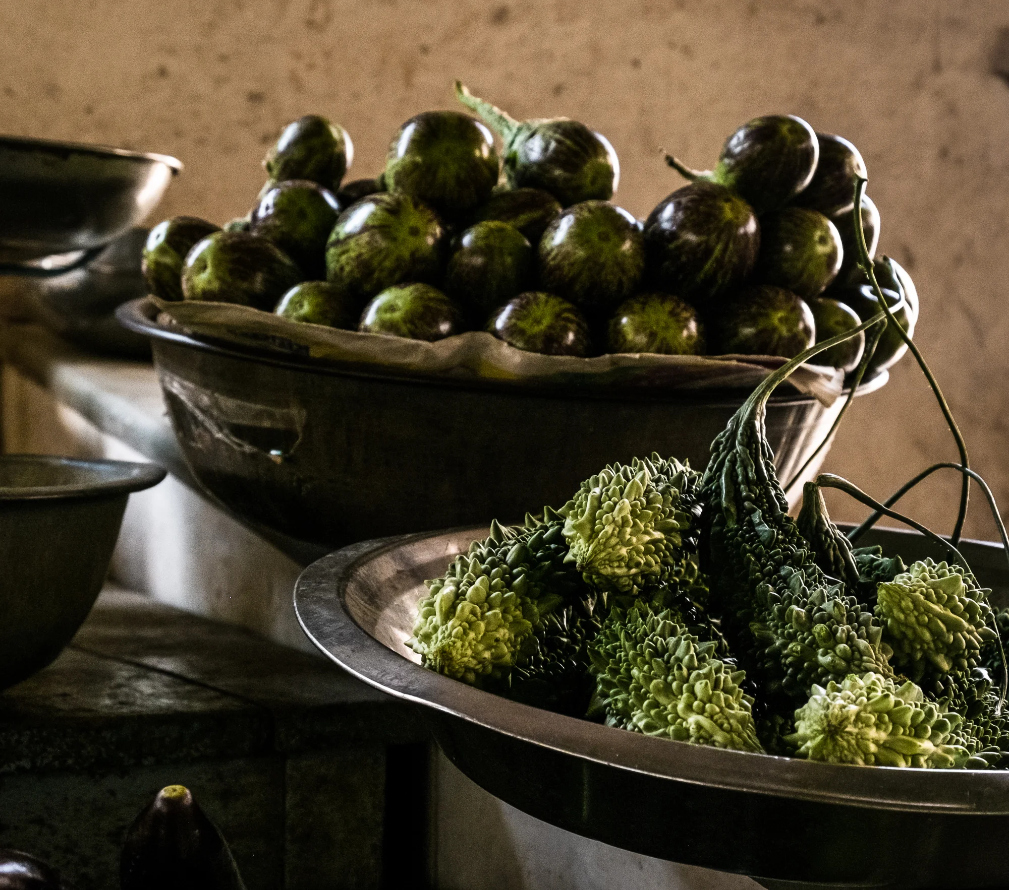 MENDESFLOHR -3242.jpg