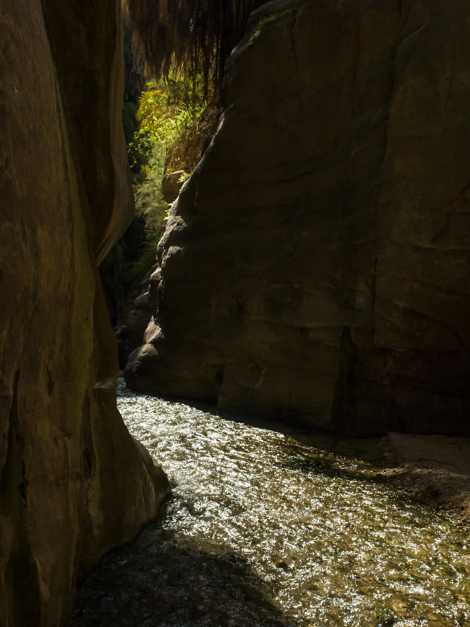 MENDESFLOHR -1163.jpg