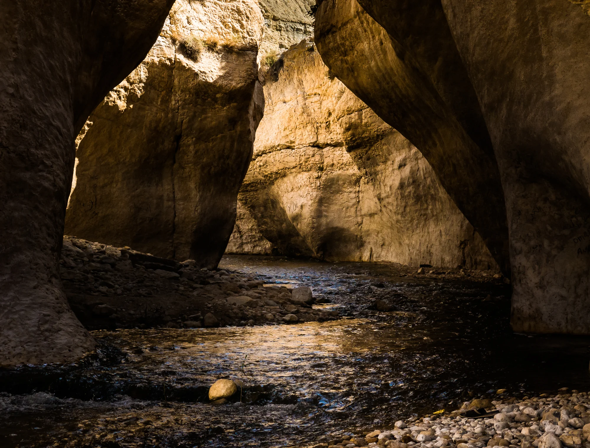 MENDESFLOHR -1250.jpg