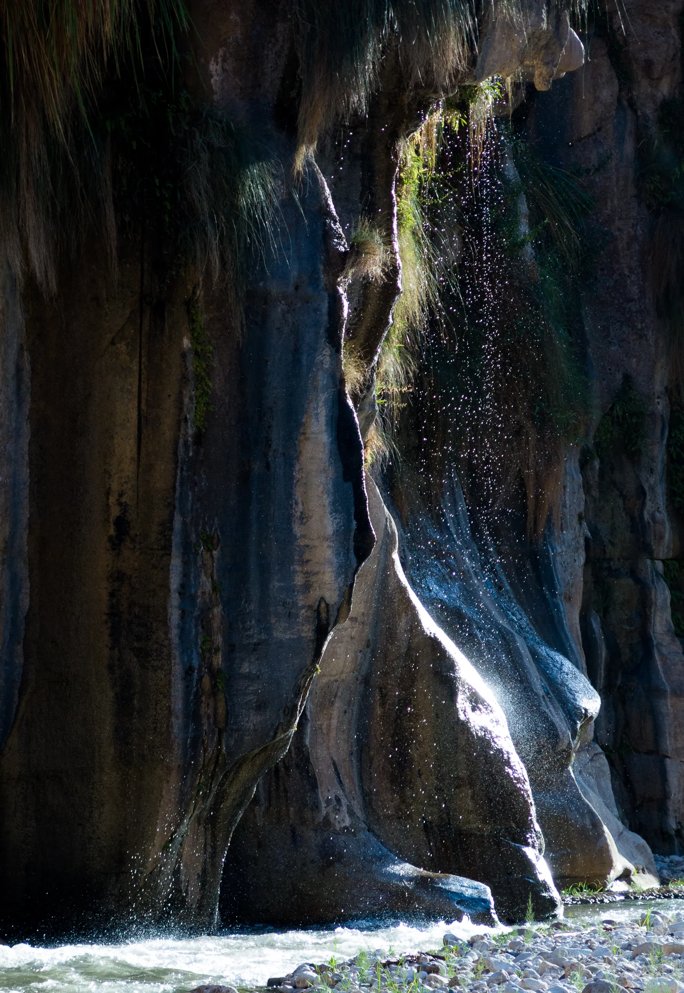 MENDESFLOHR -1537.jpg