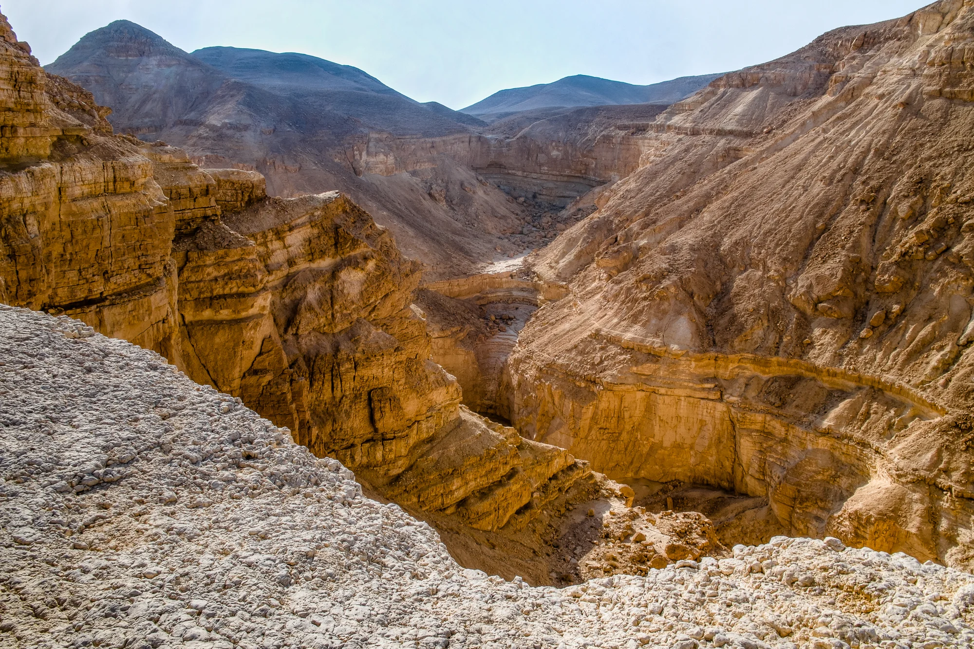 my desert site-4.jpg