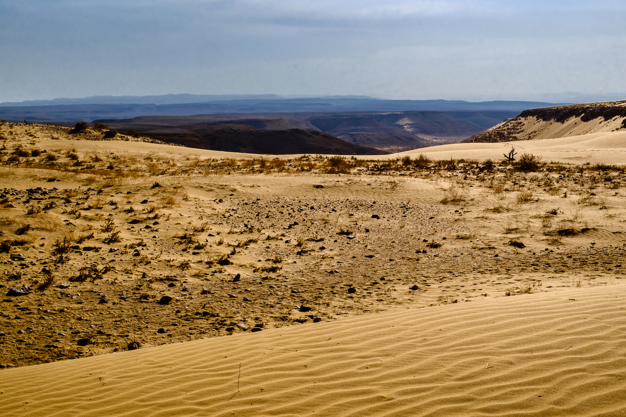 my desert site-5857.jpg