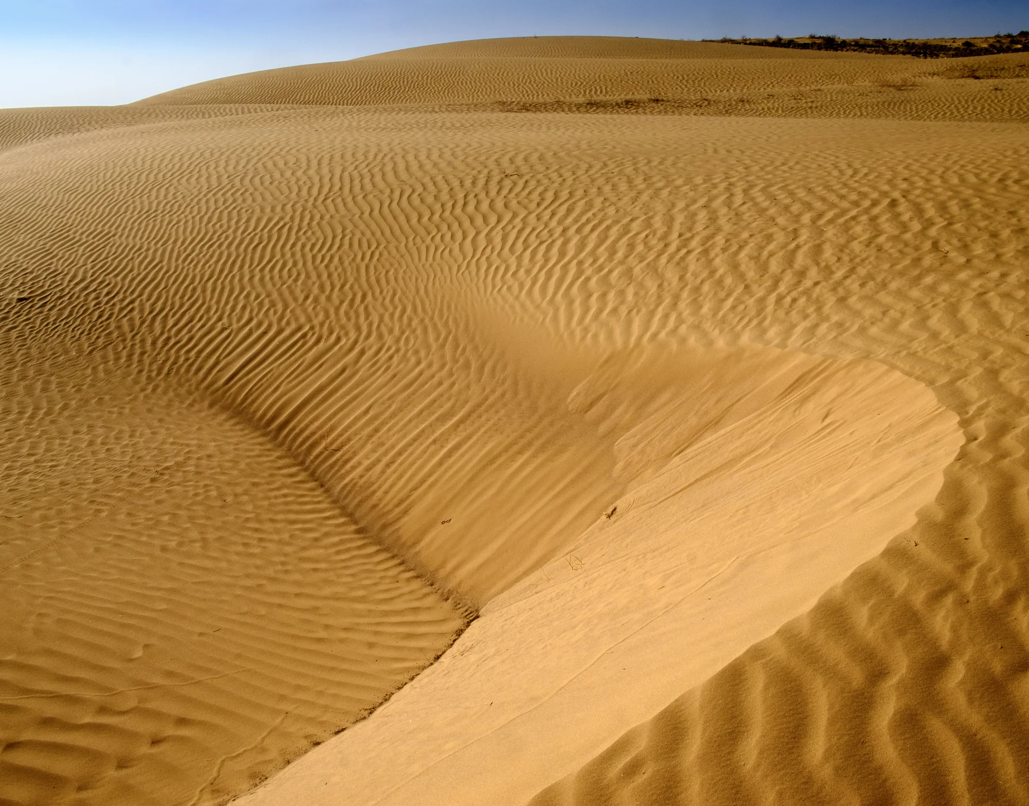 my desert site-5870.jpg