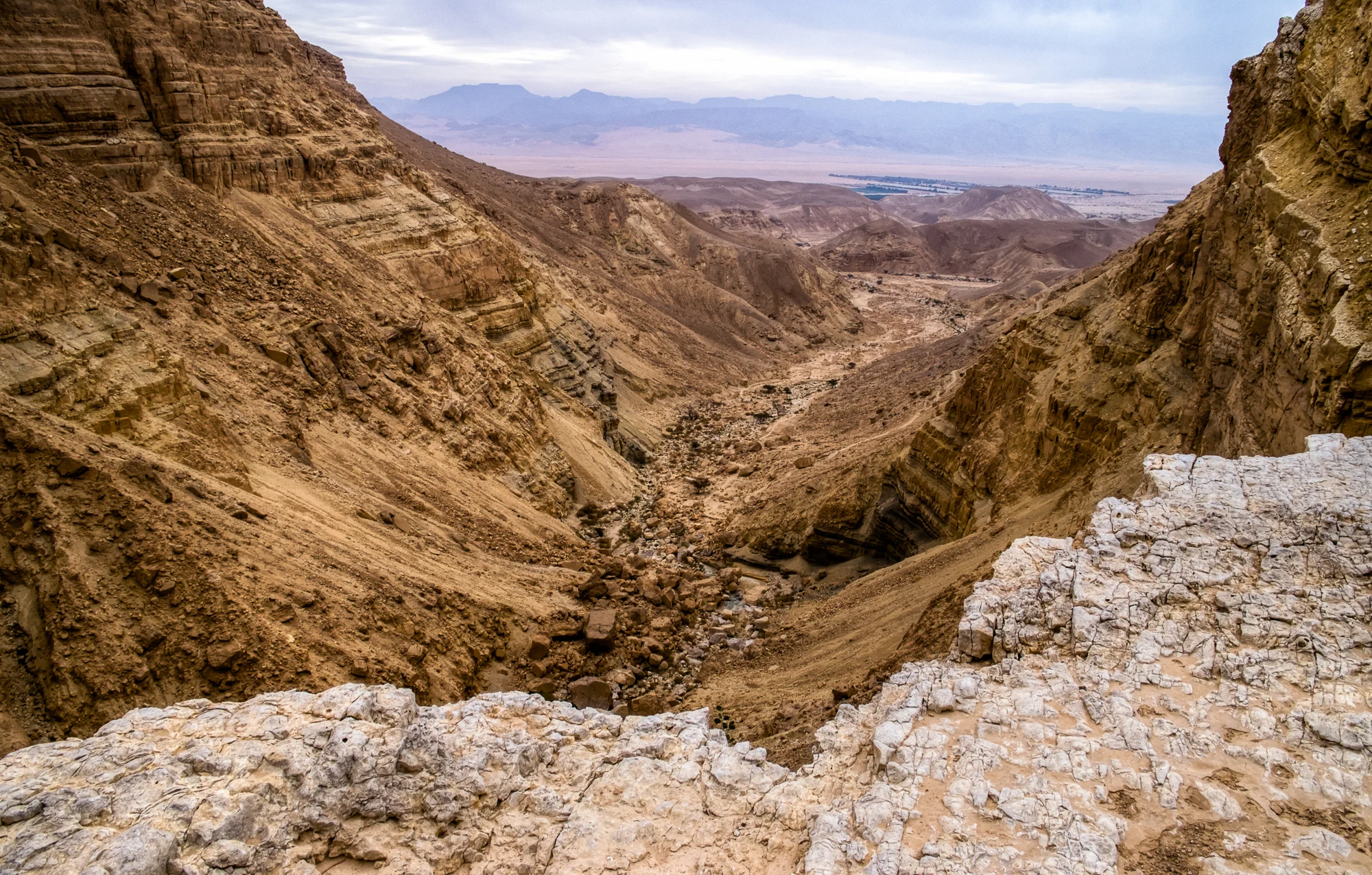 my desert site--2.jpg