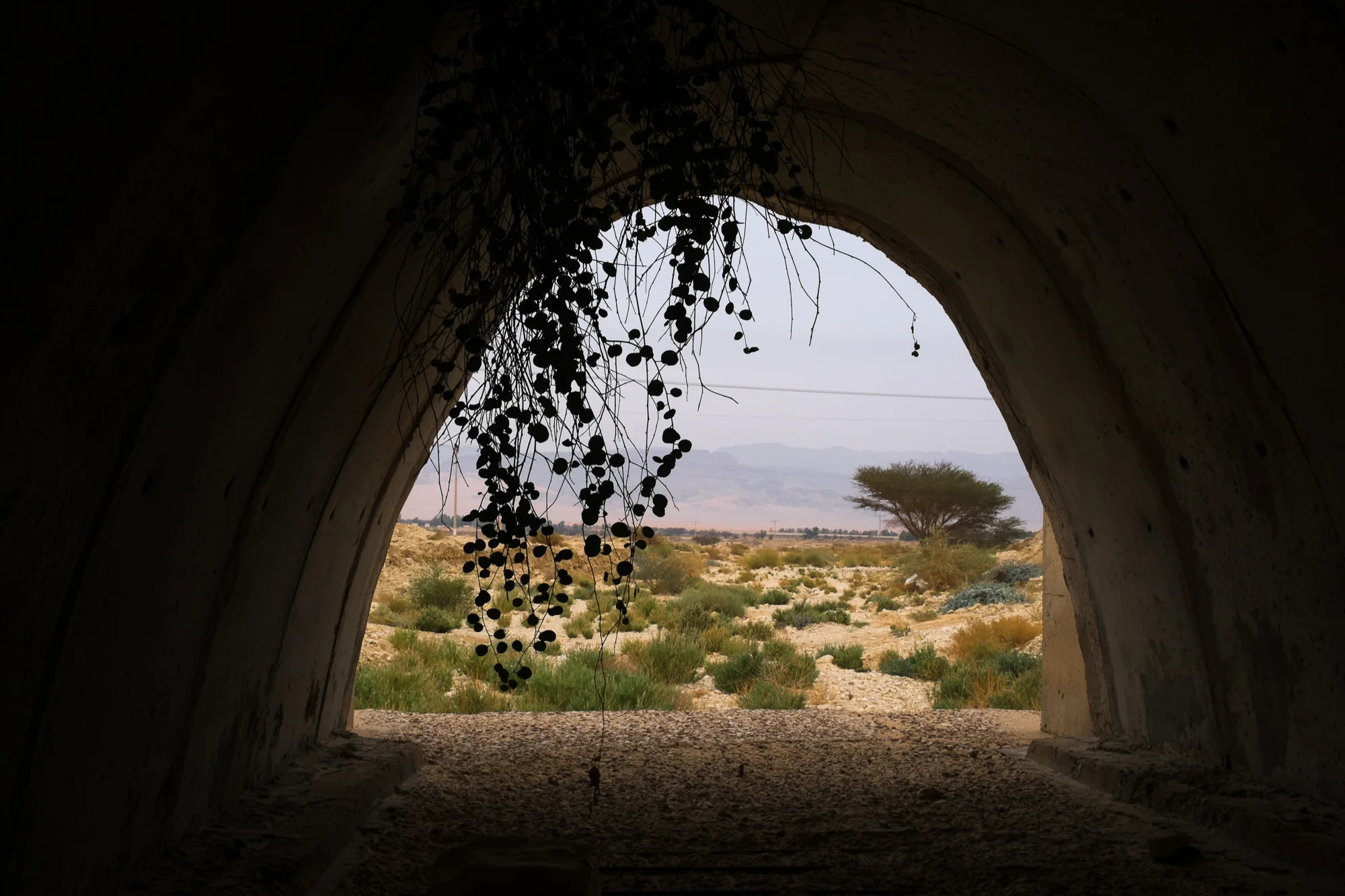 my desert site-6060.jpg