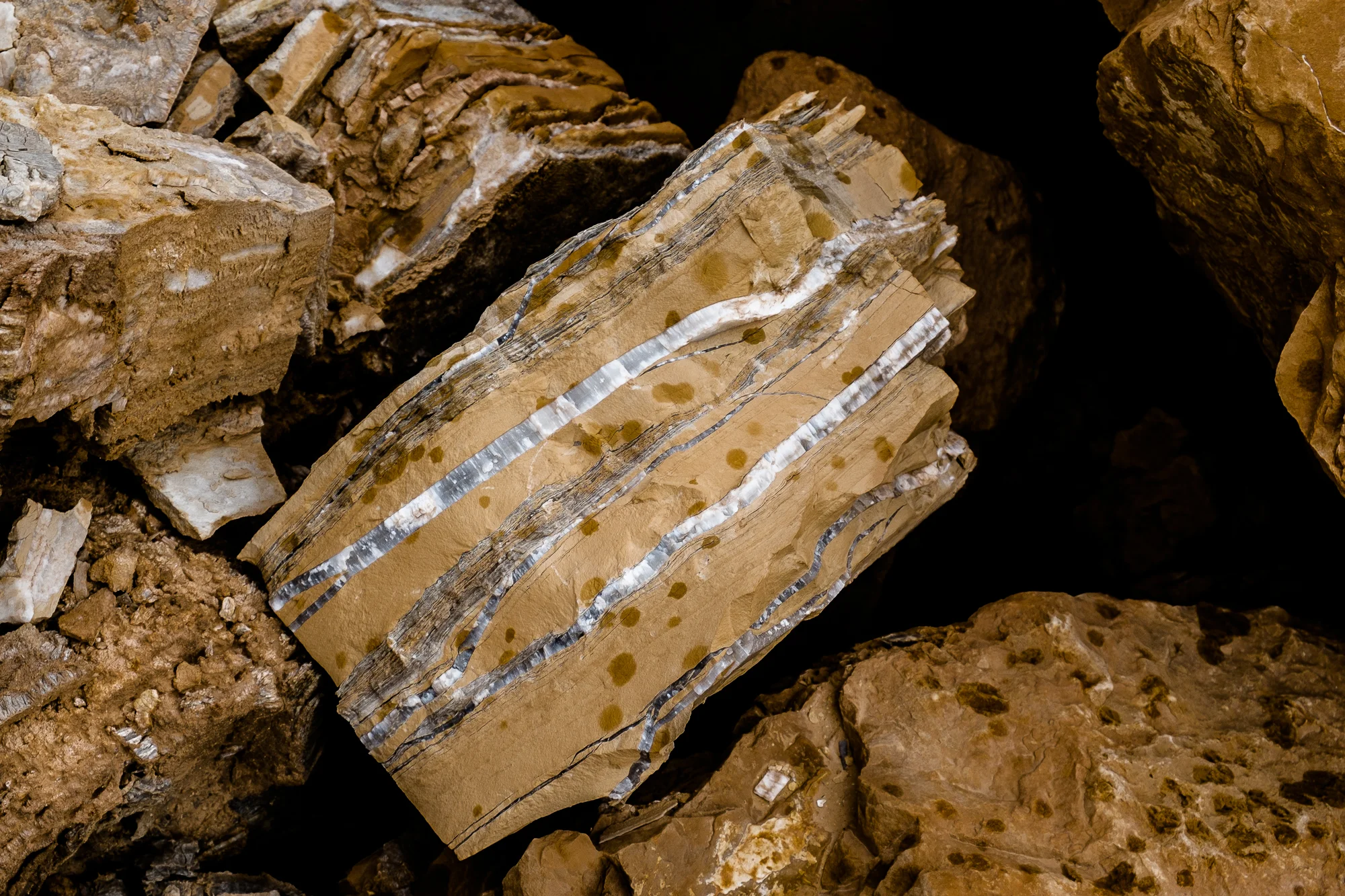 my desert site-6036.jpg