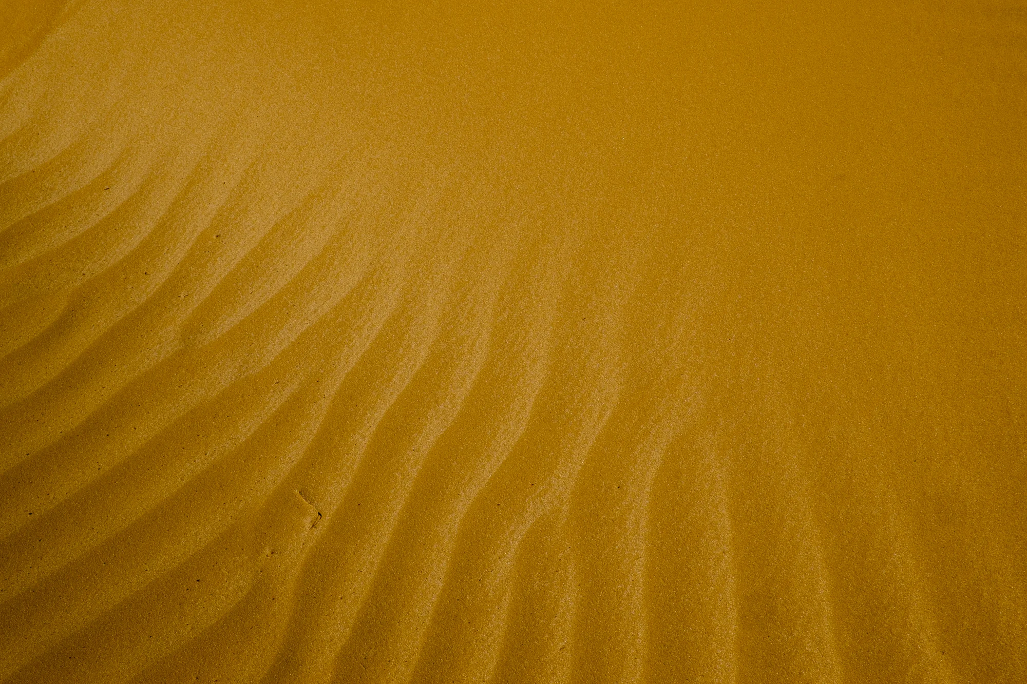 my desert site-5868-2.jpg