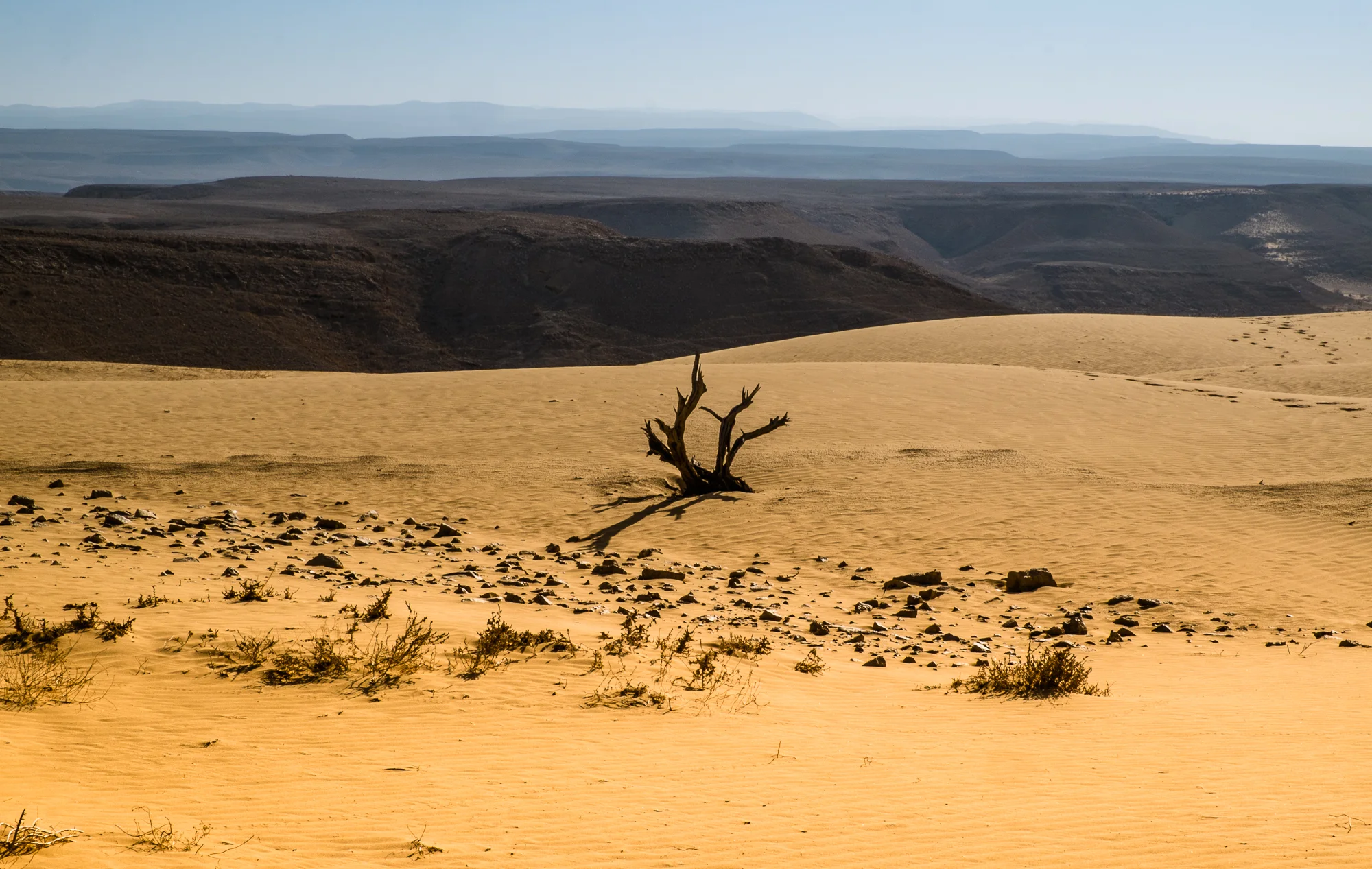 my desert site-5860-2.jpg