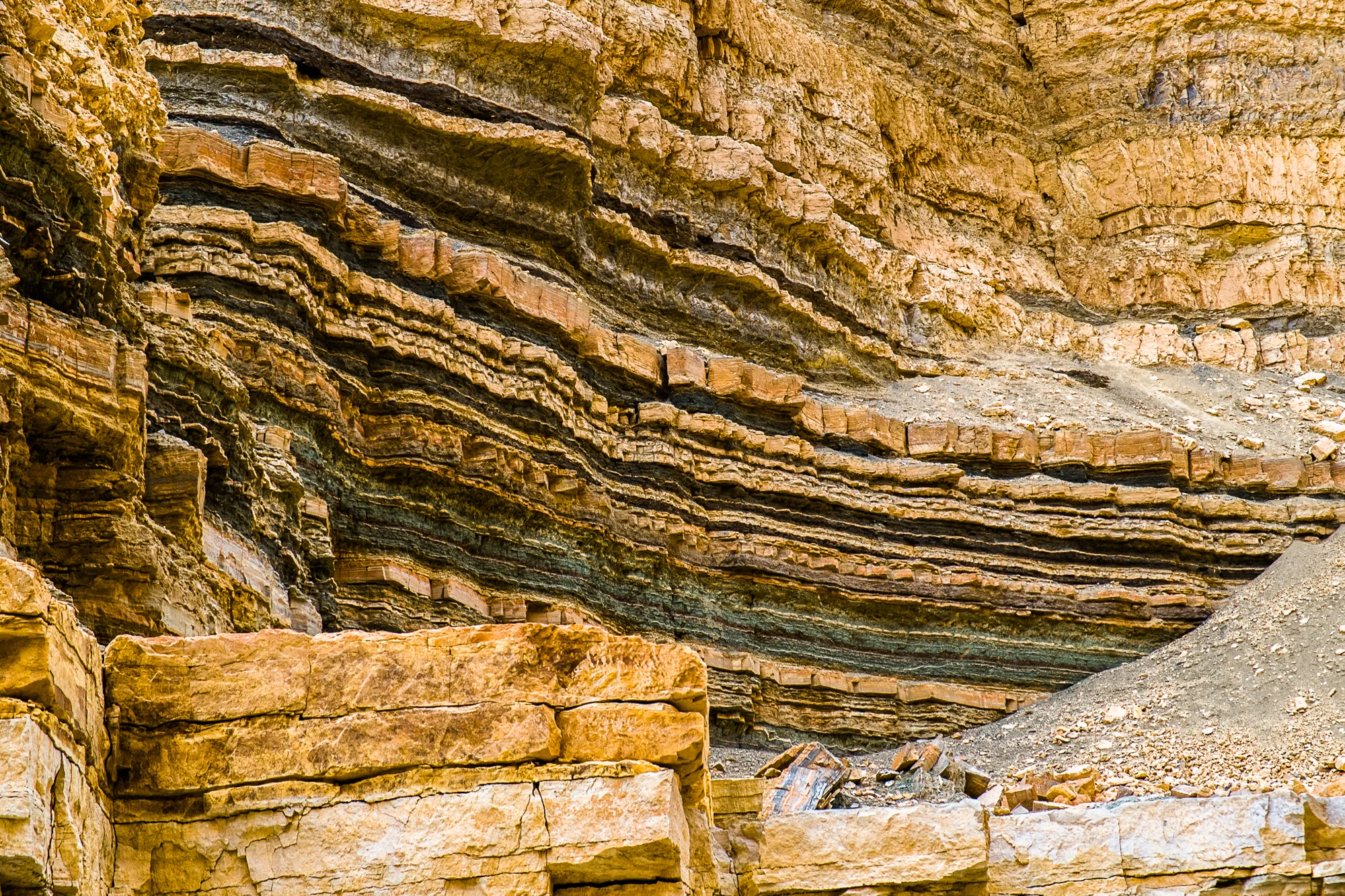 my desert site-5993-2.jpg