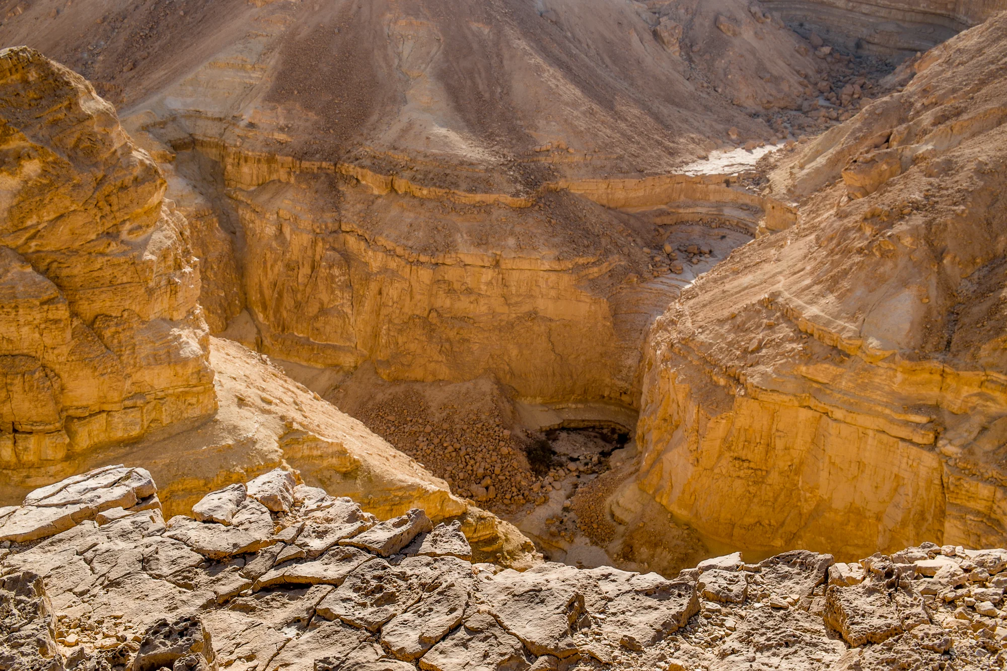 my desert site-5717.jpg