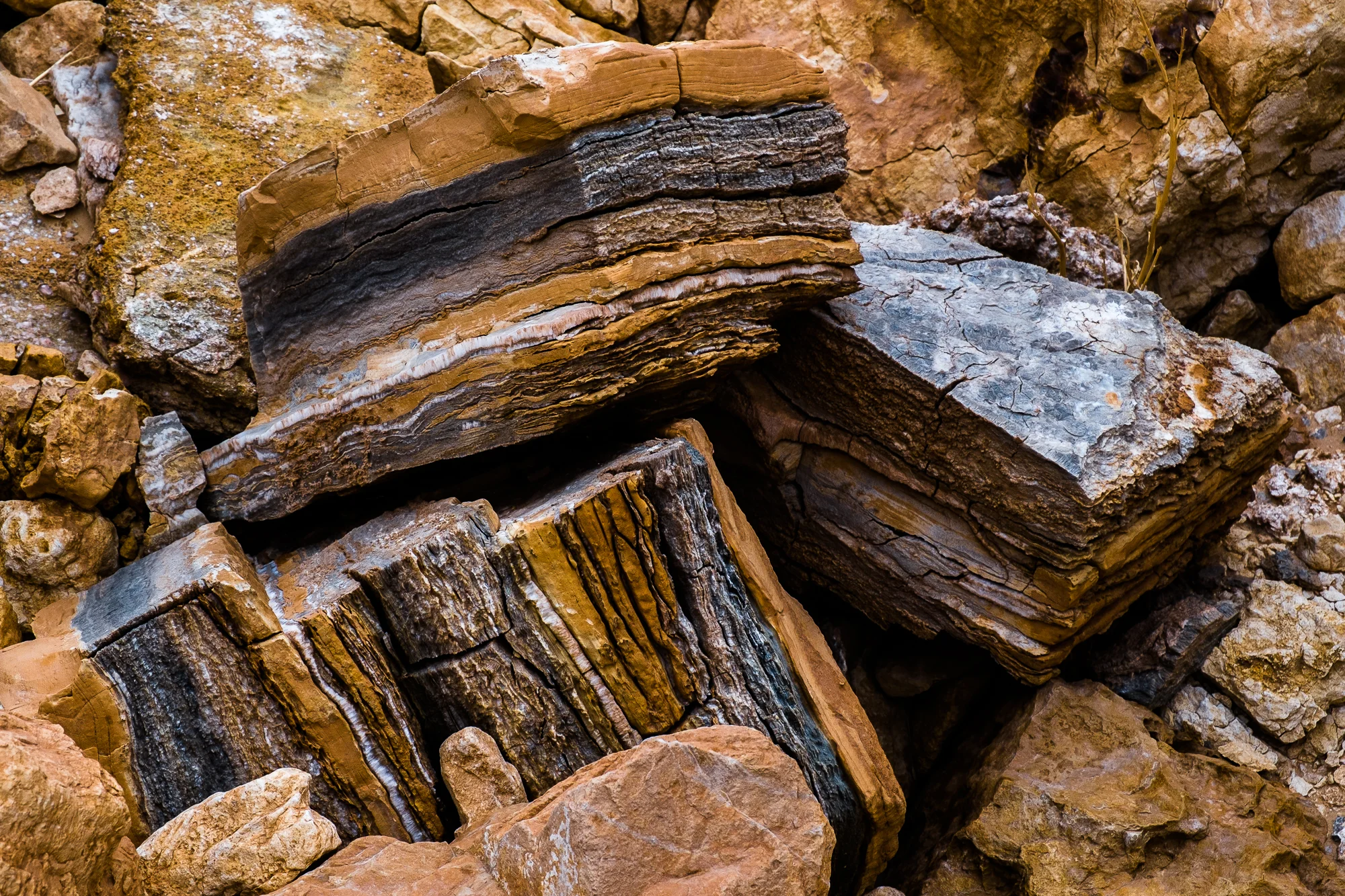 my desert site-6030-2.jpg