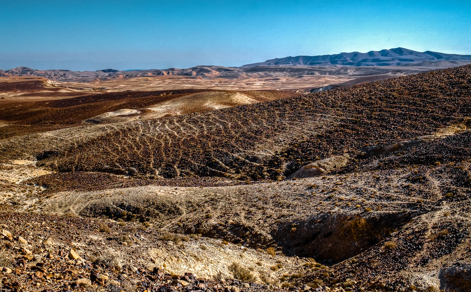 my desert site-3.jpg