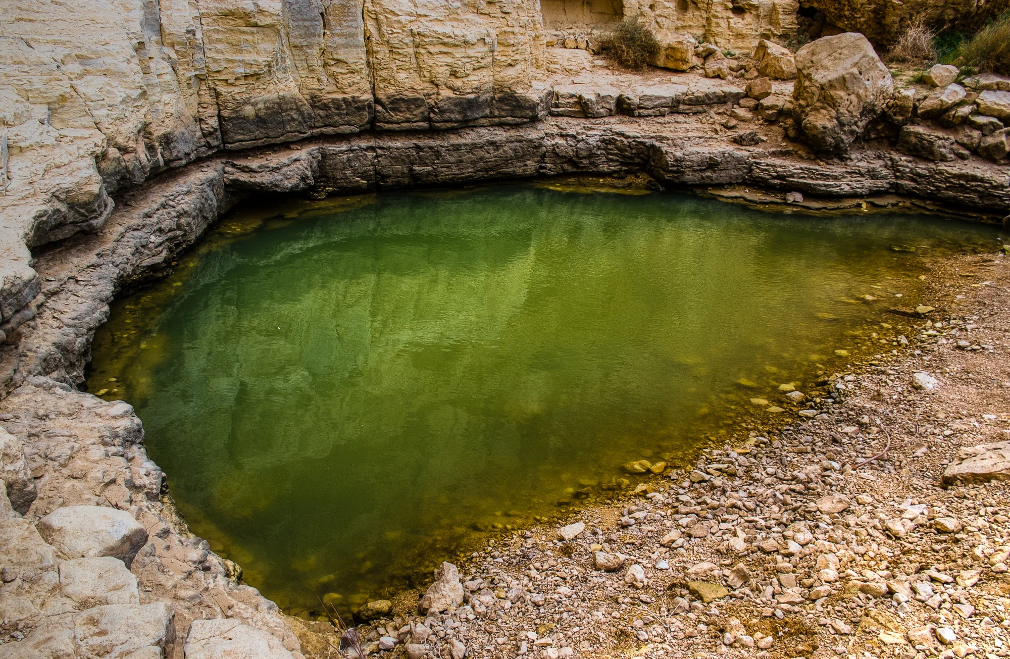 my desert site--6 - Copy.jpg