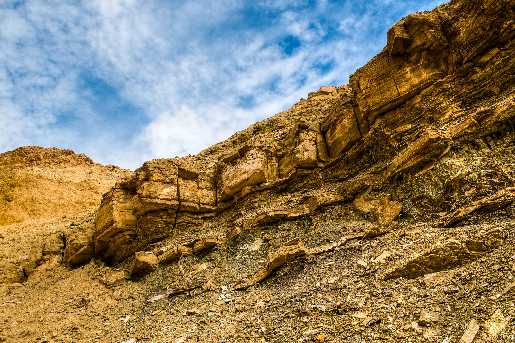 my desert site--10.jpg