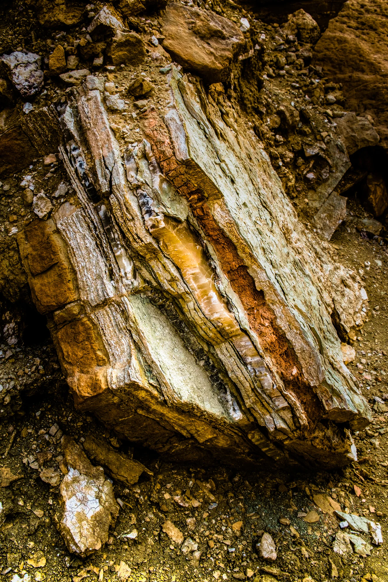 my desert site--11.jpg