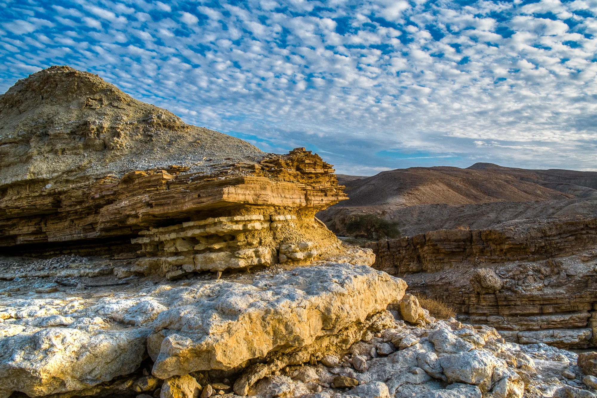 my desert site--15.jpg