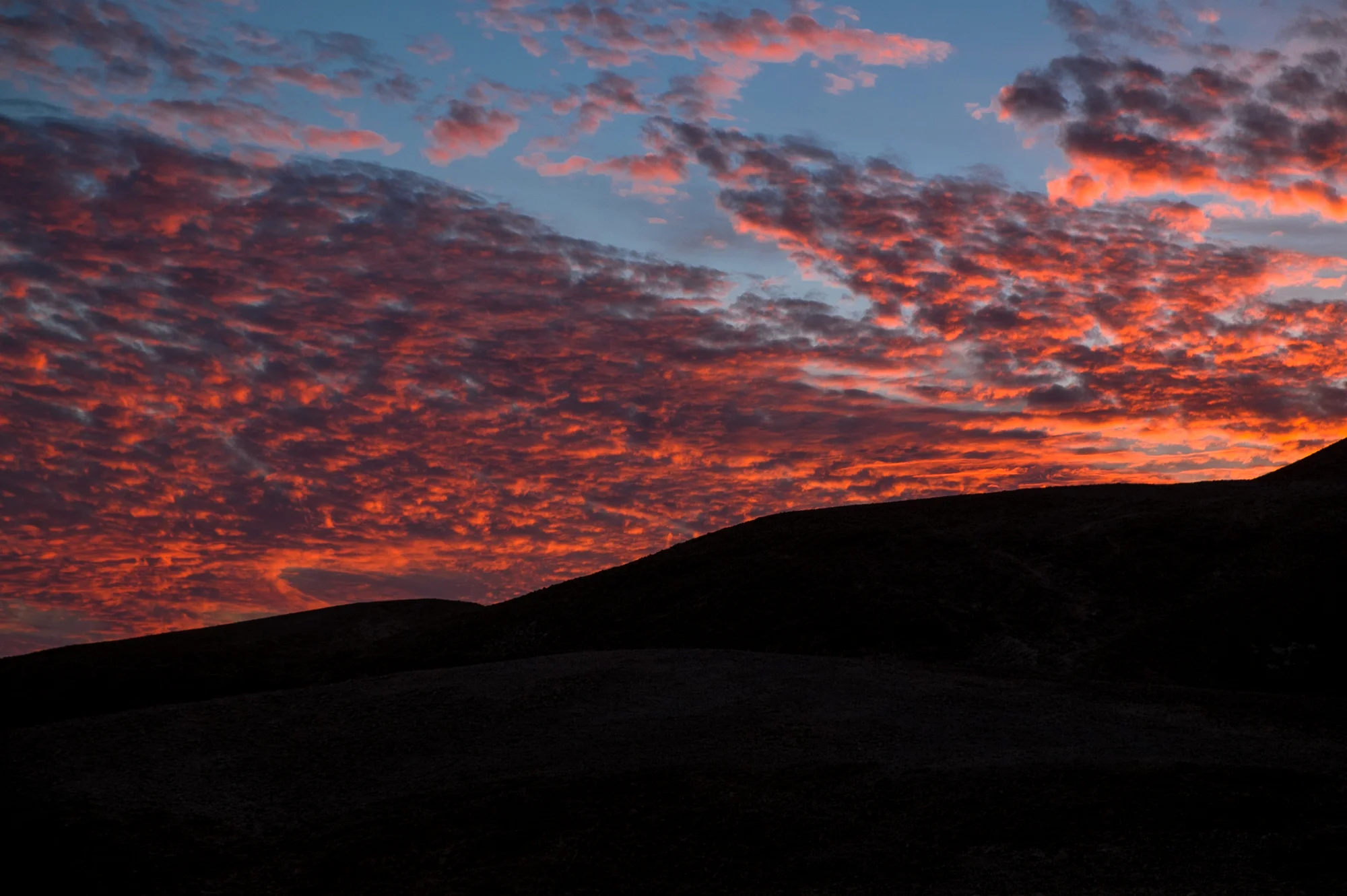 my desert site-7093-2.jpg