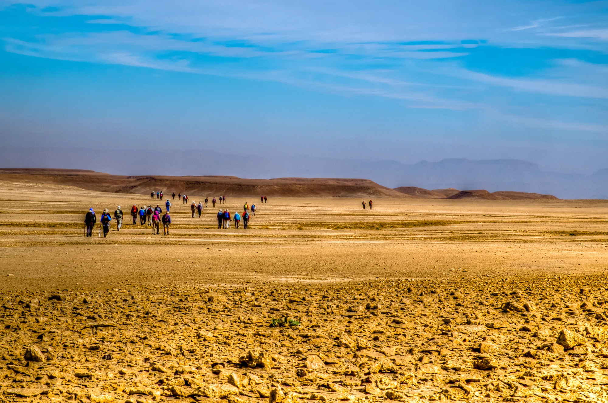 my desert site--19.jpg