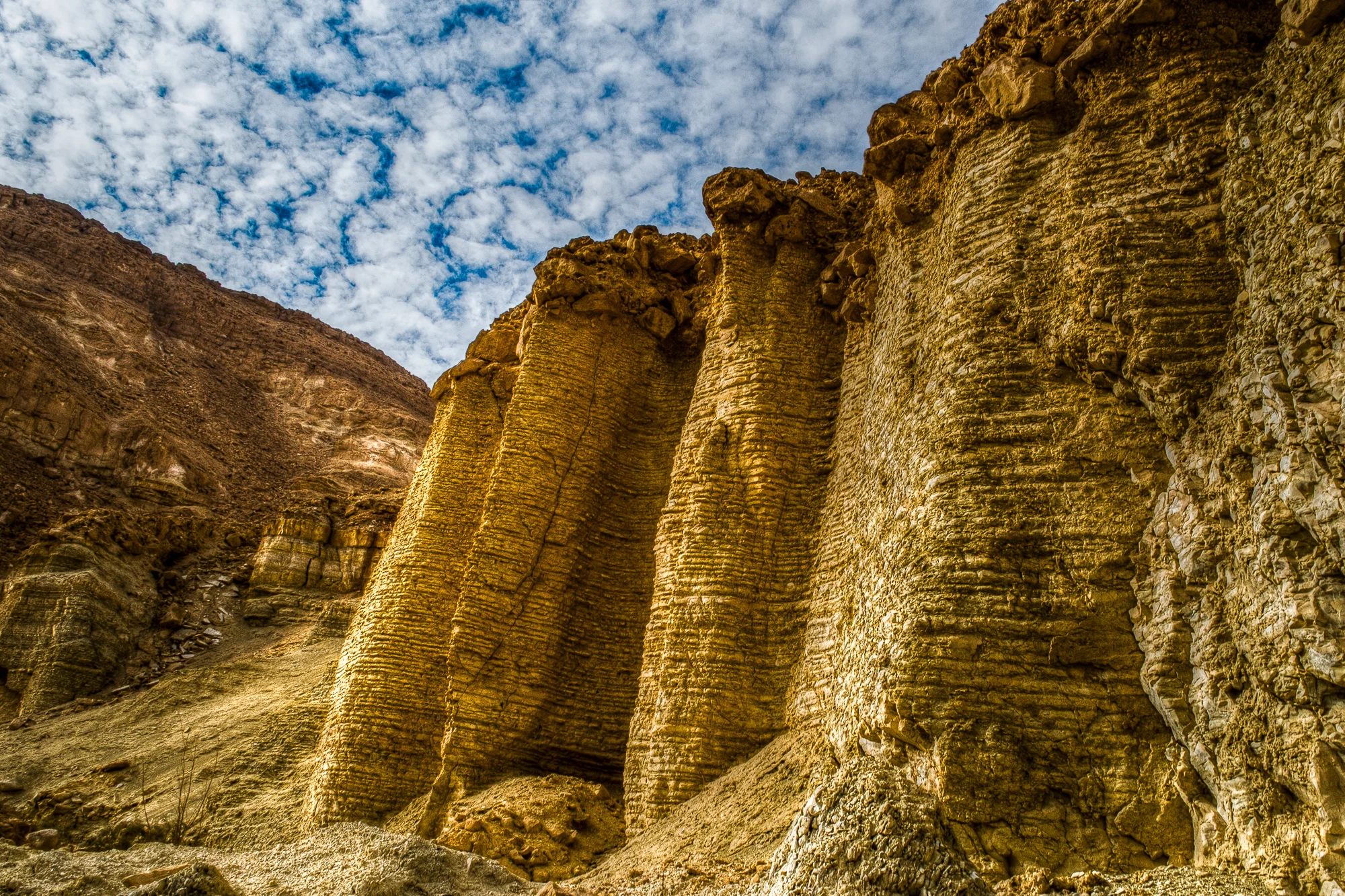 my desert site--26.jpg