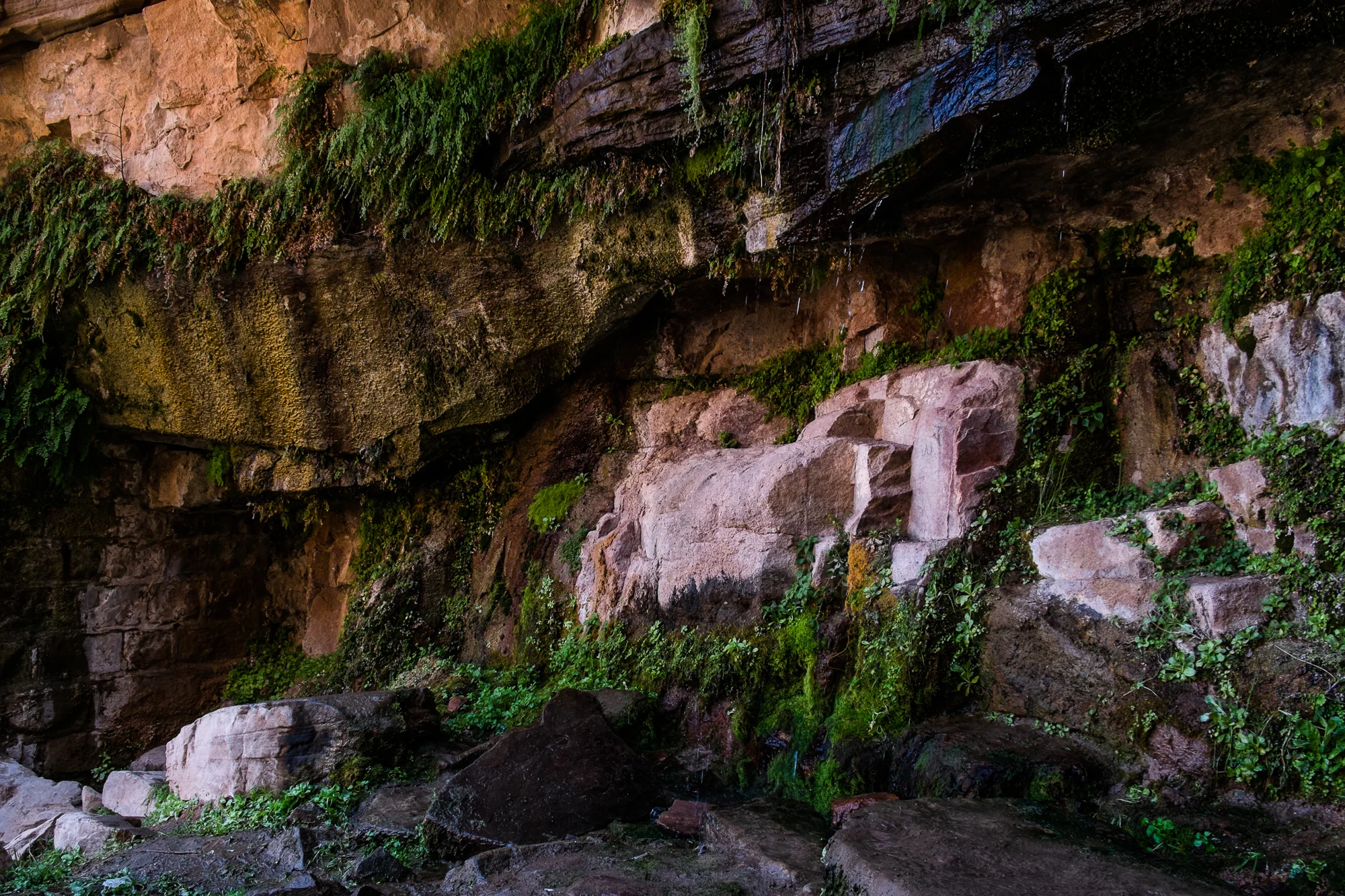 my desert site-8952.jpg