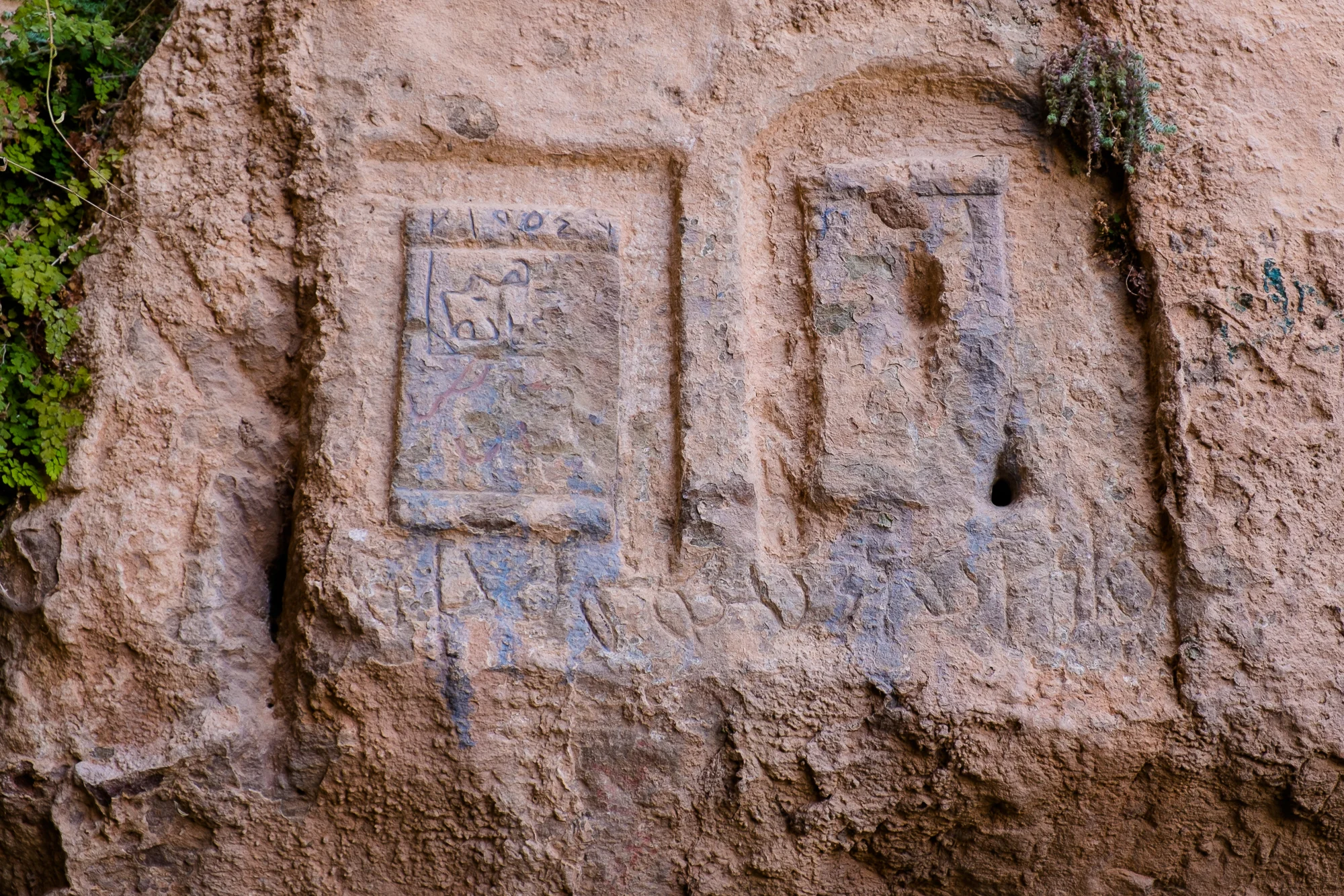 my desert site-8964.jpg