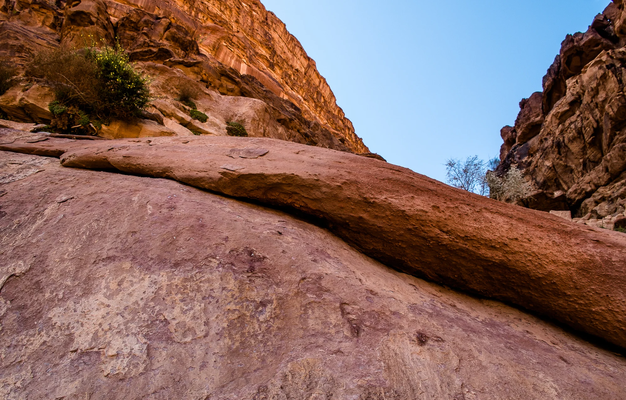 my desert site-9006.jpg