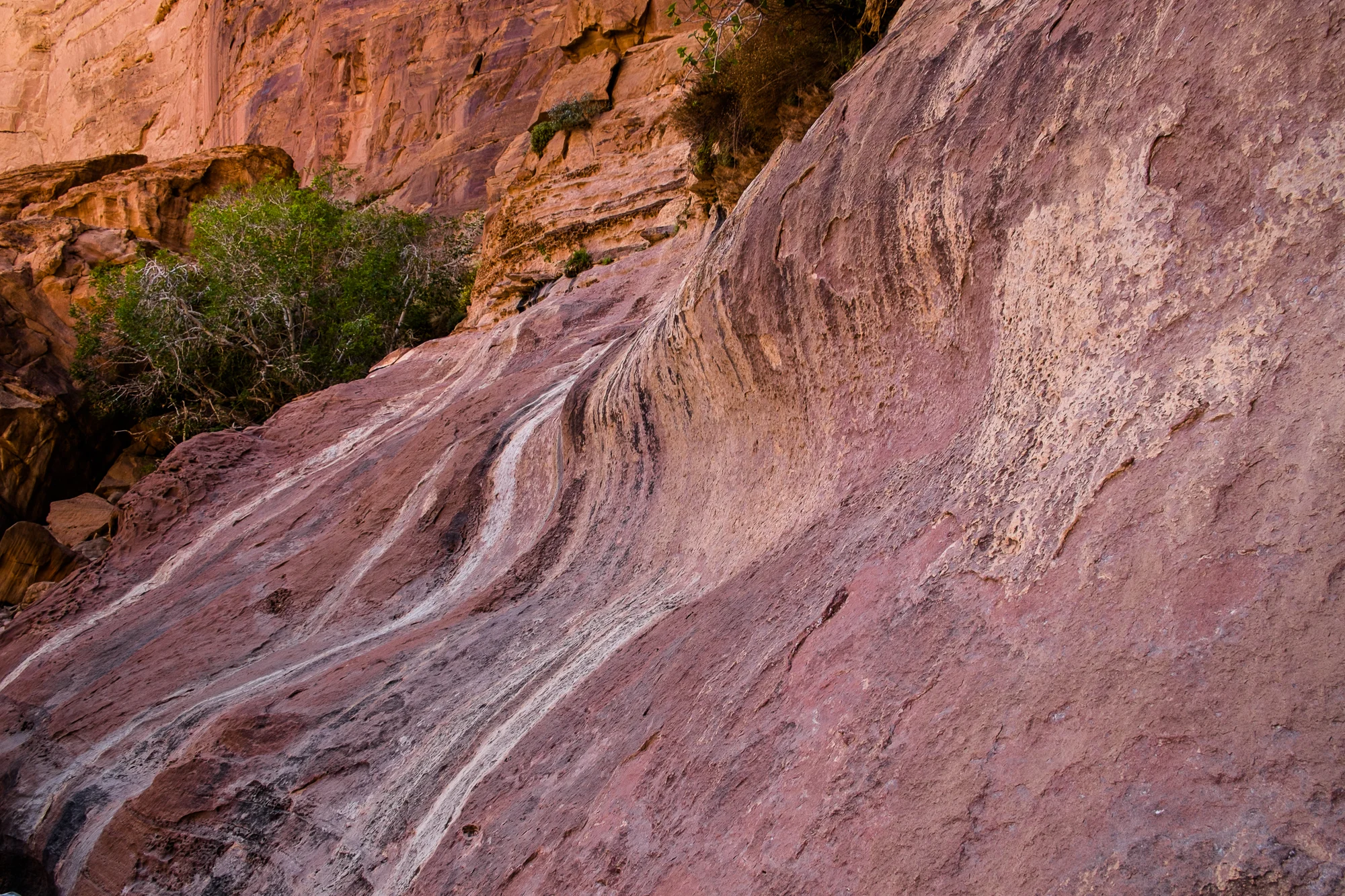 my desert site-9007.jpg