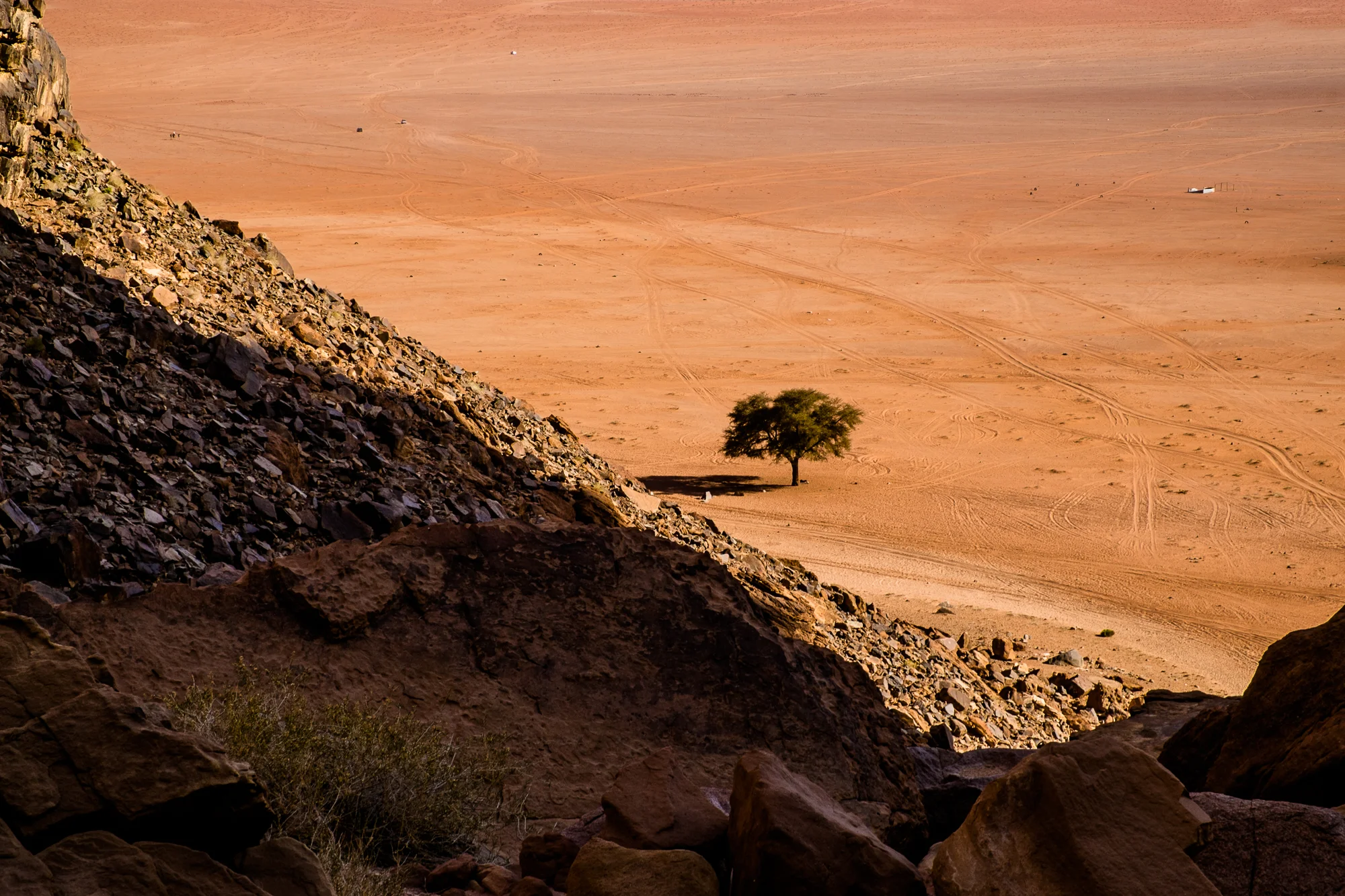 my desert site-9068.jpg