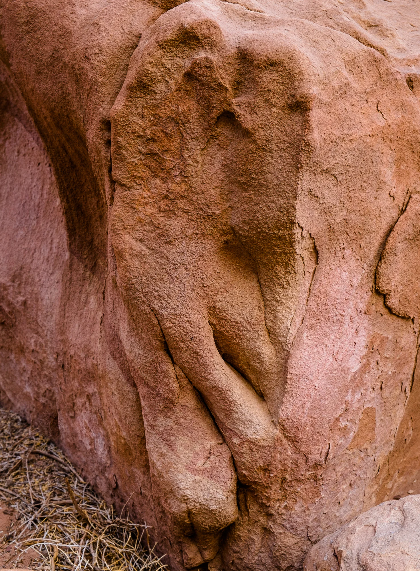 my desert site-9070.jpg