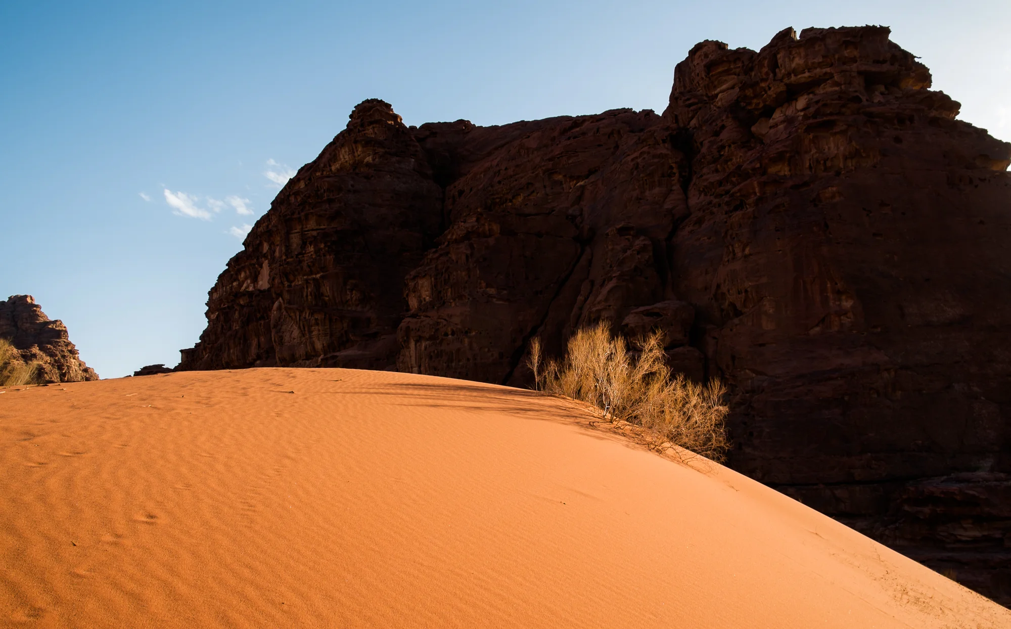 my desert site-9359.jpg