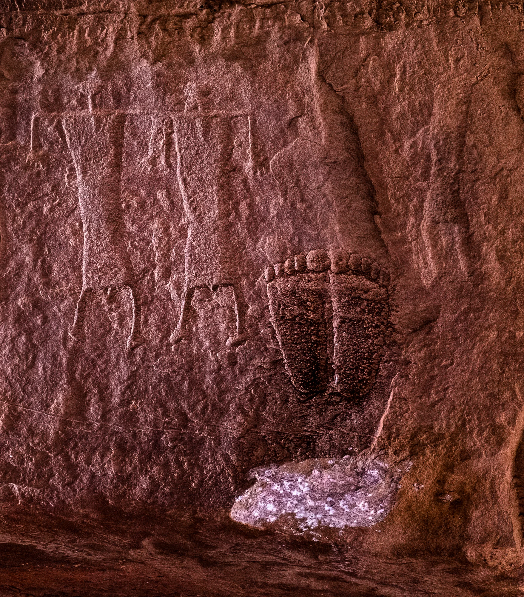 my desert site-9162.jpg