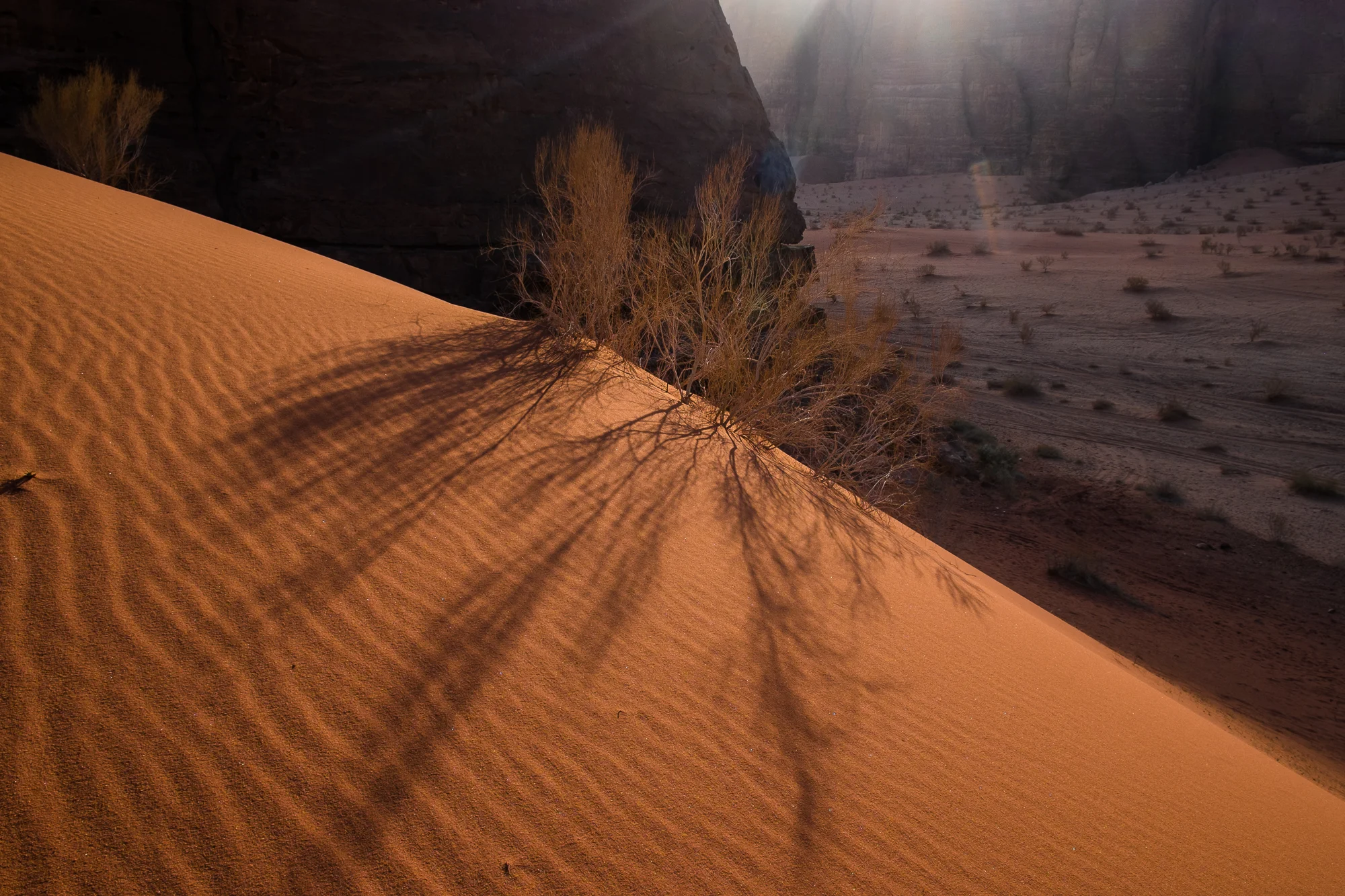 my desert site-9363.jpg