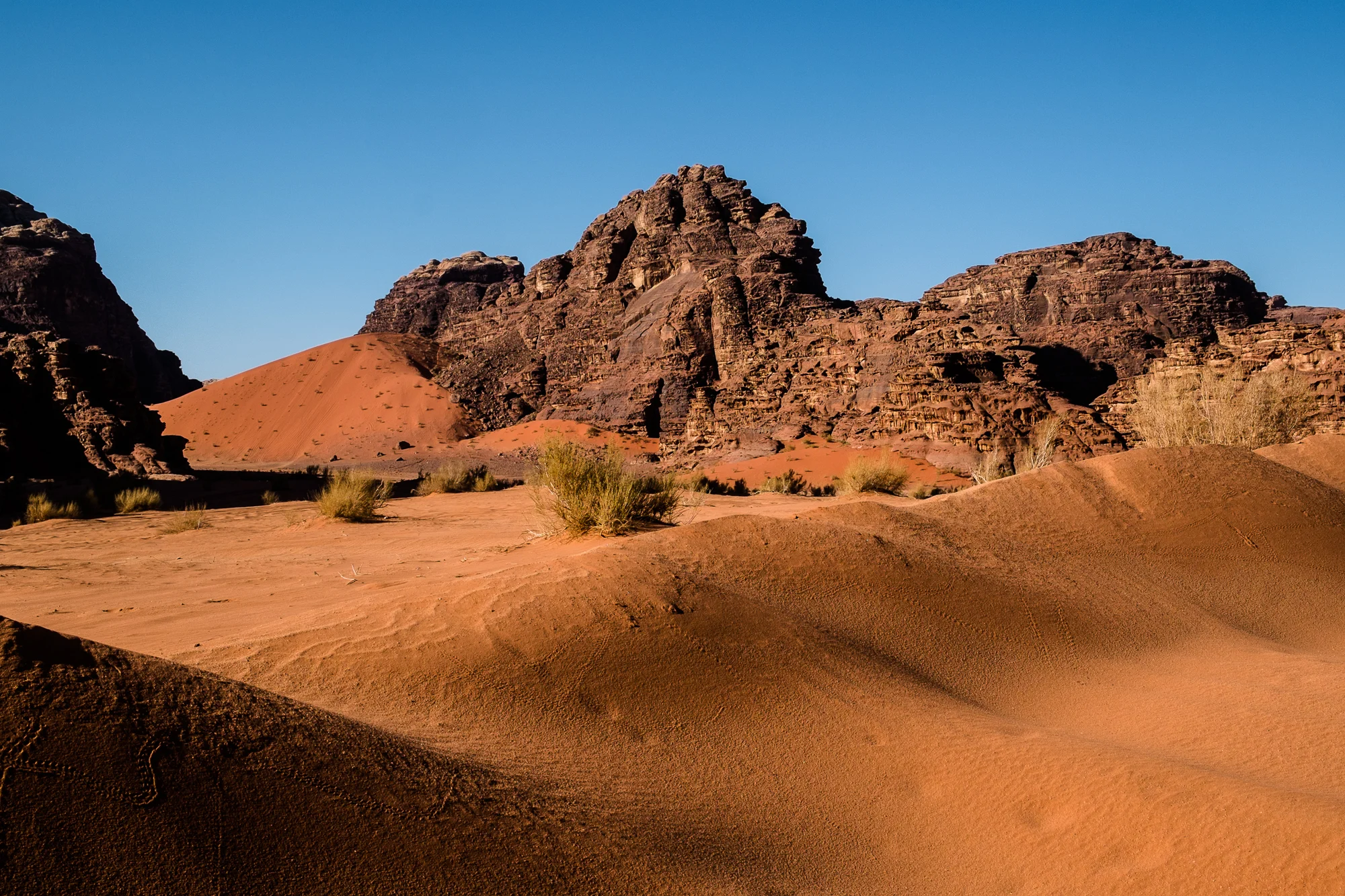 my desert site-9397.jpg