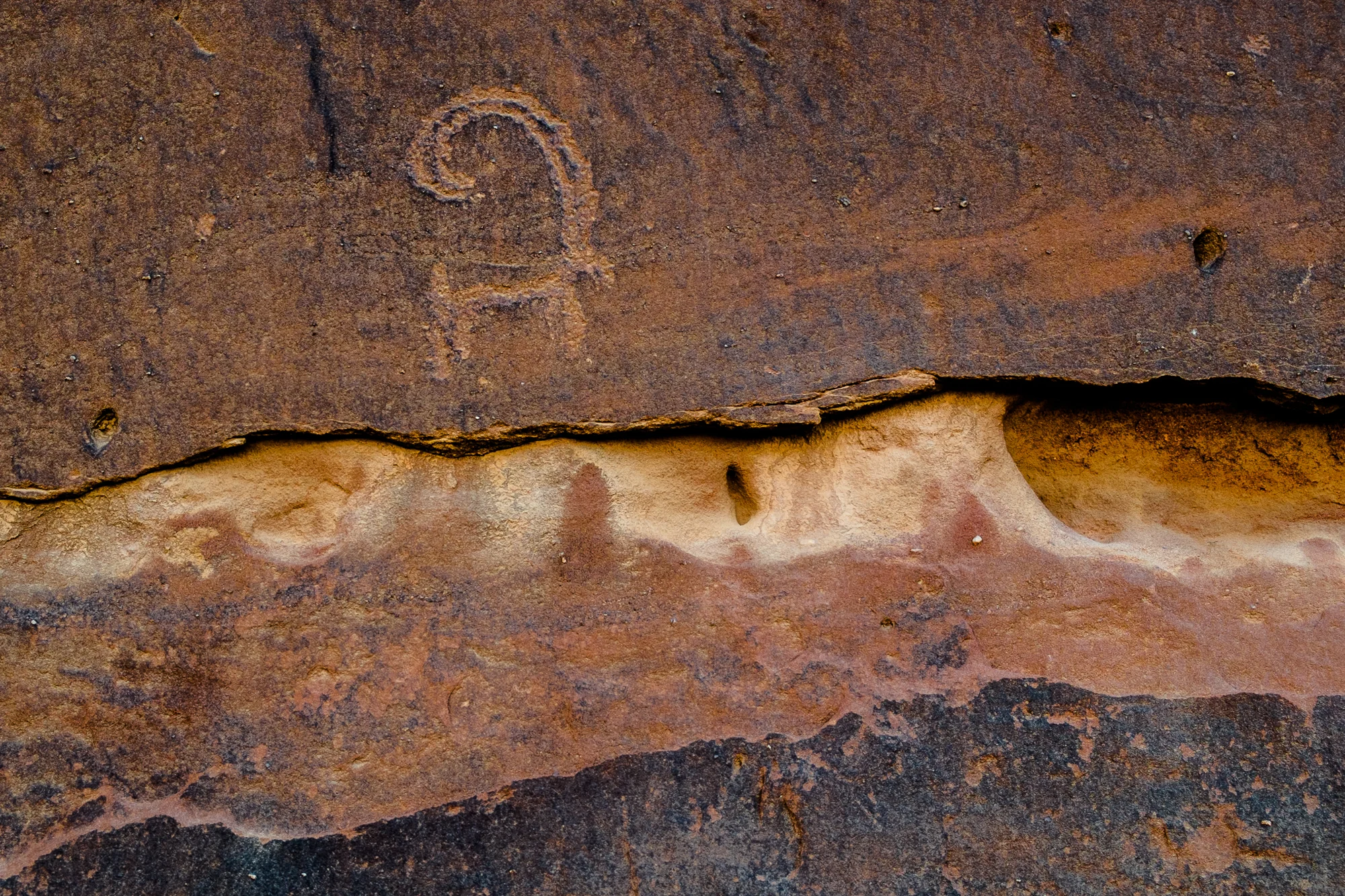 my desert site-9398.jpg