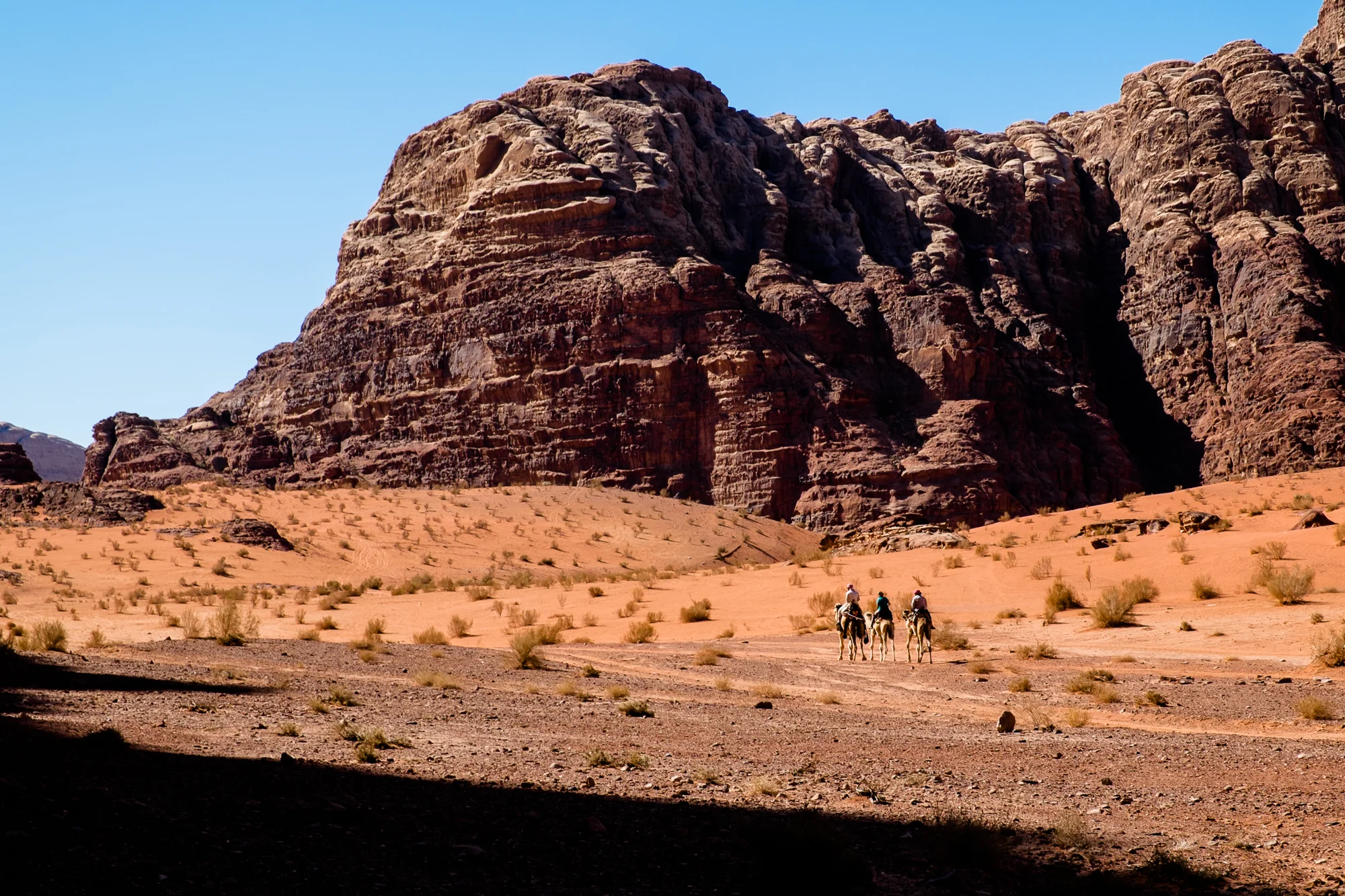 my desert site-9419.jpg