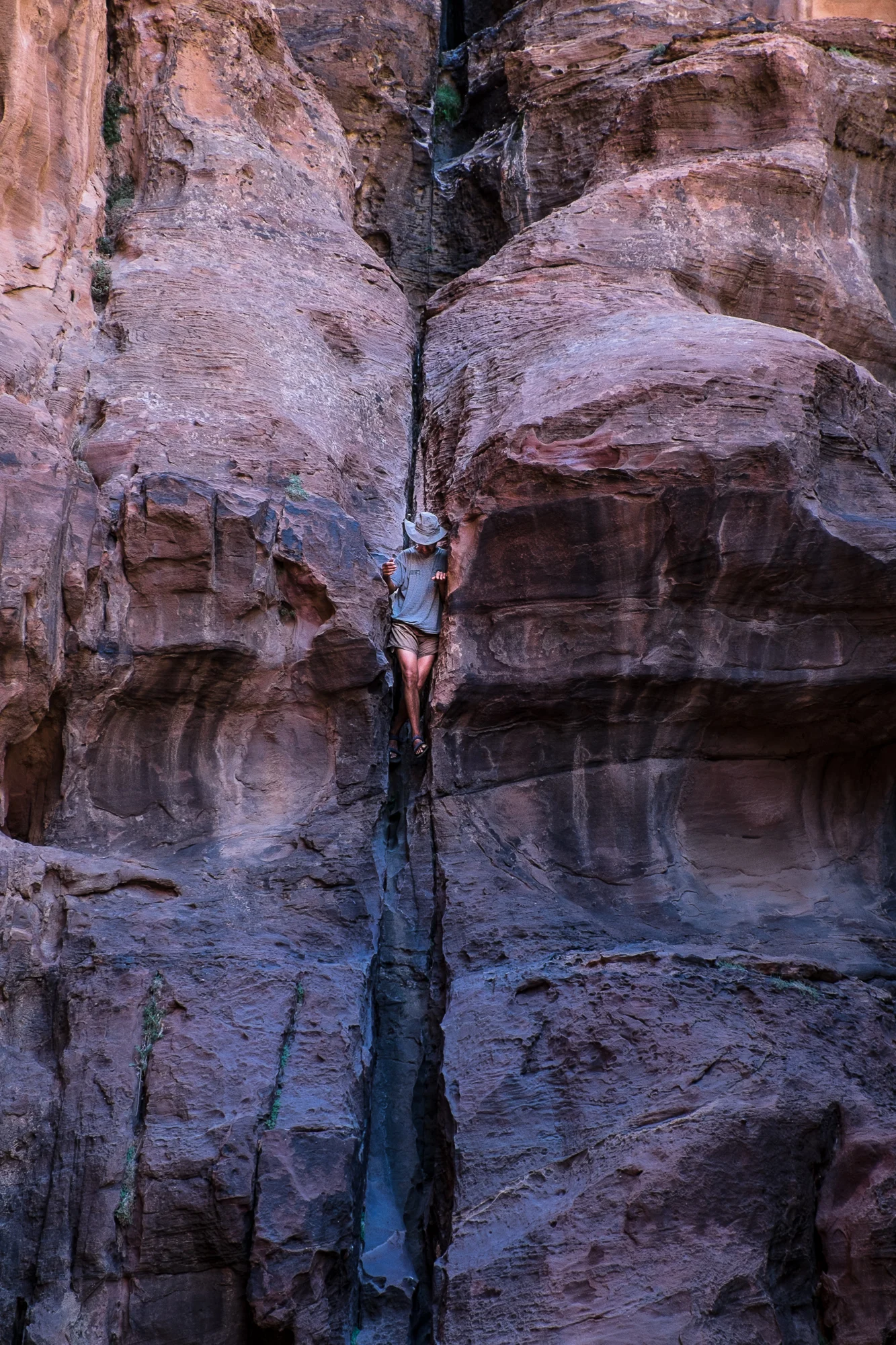 my desert site-9449.jpg