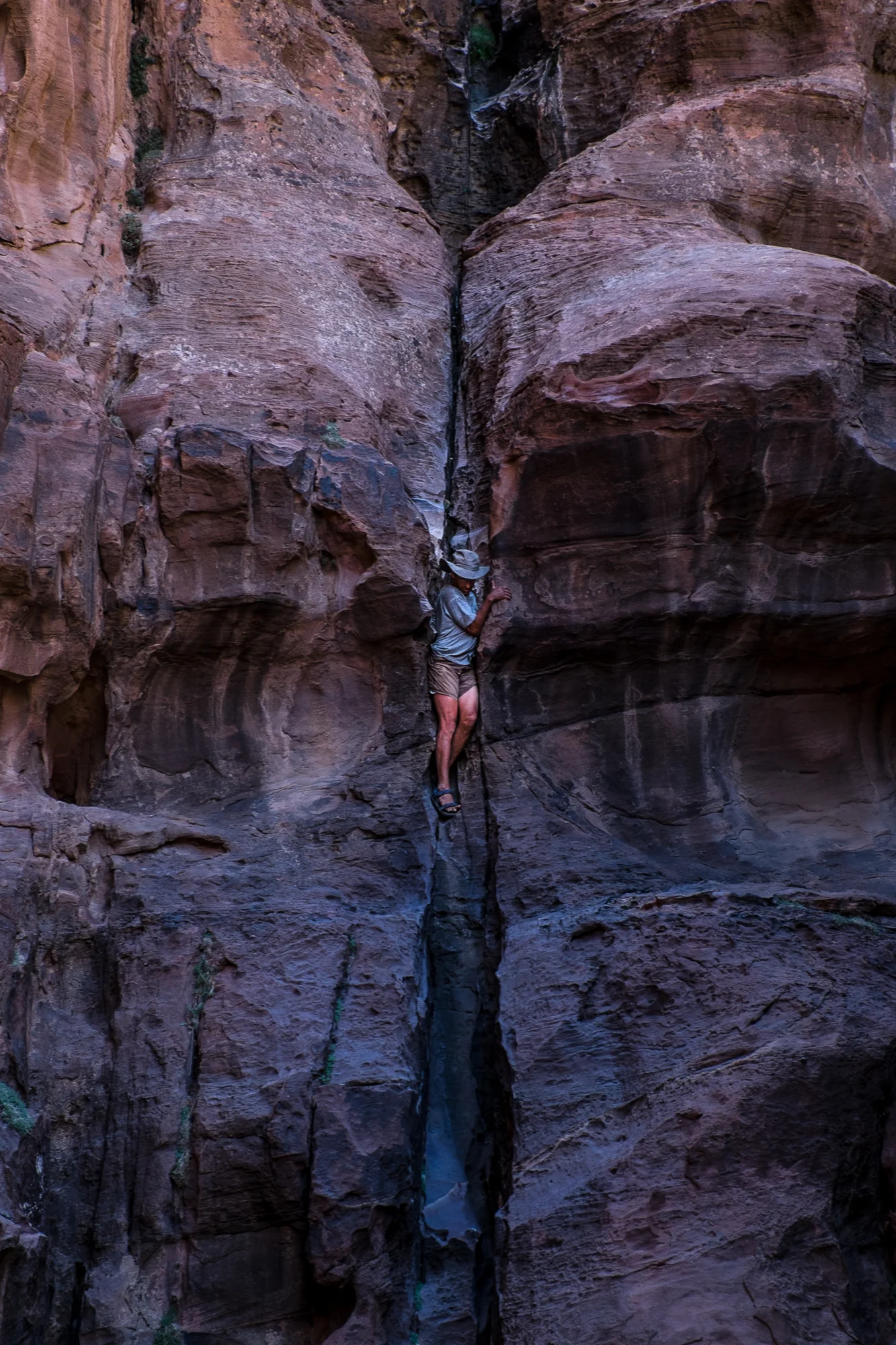 my desert site-9450.jpg