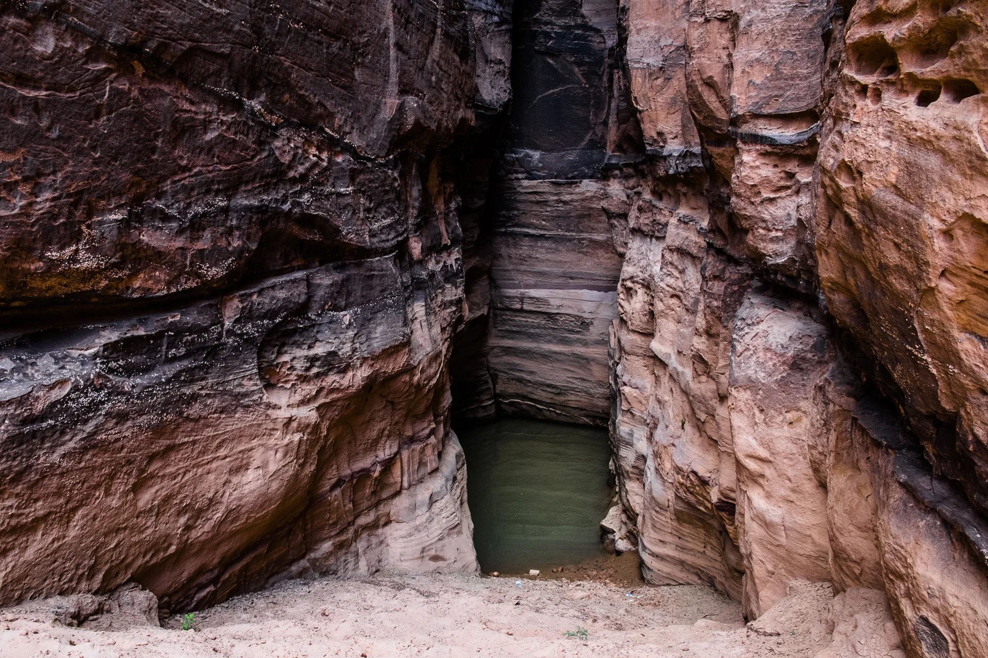 my desert site-9514.jpg