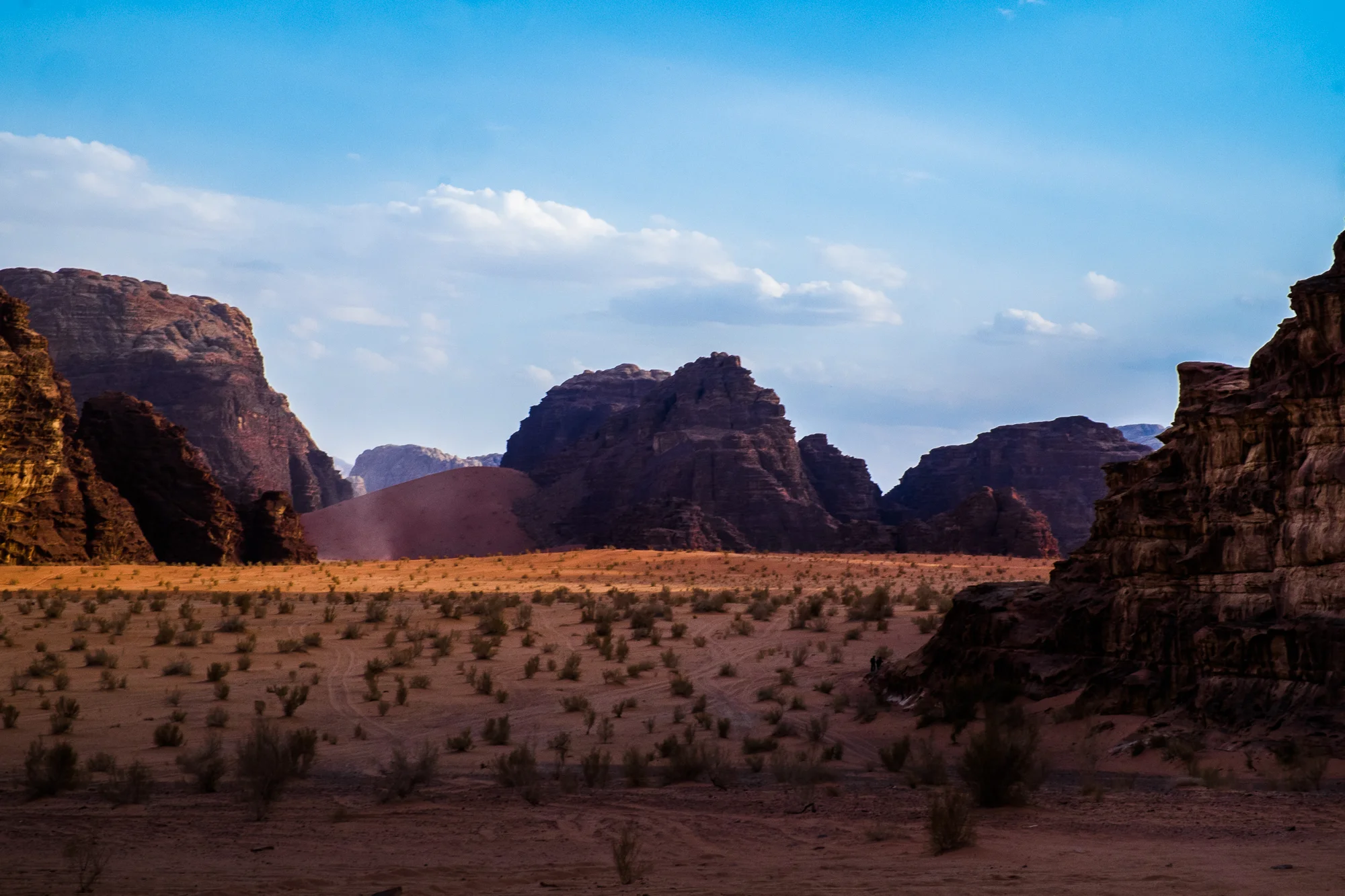 my desert site-9522.jpg