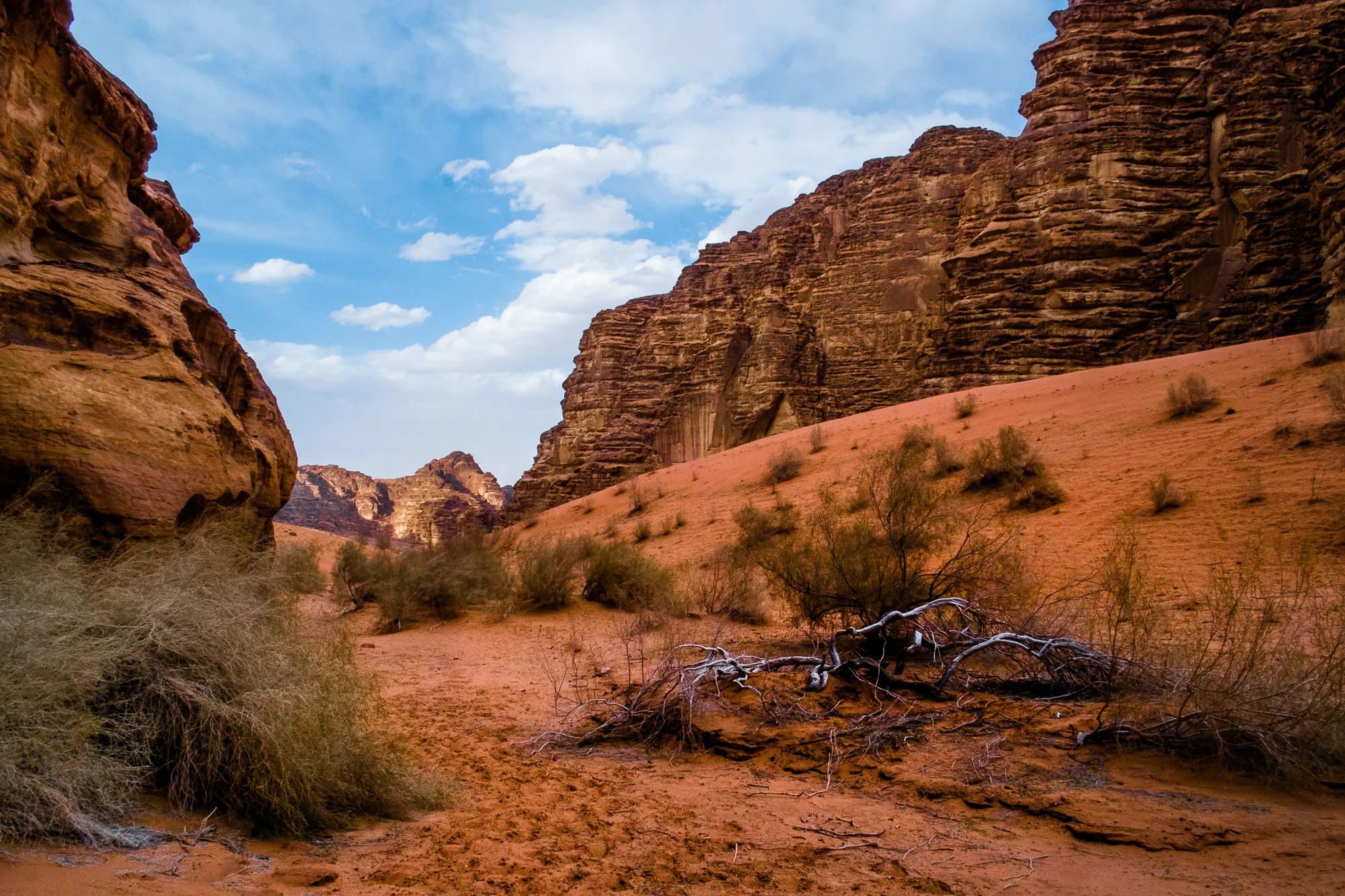 my desert site-9520.jpg