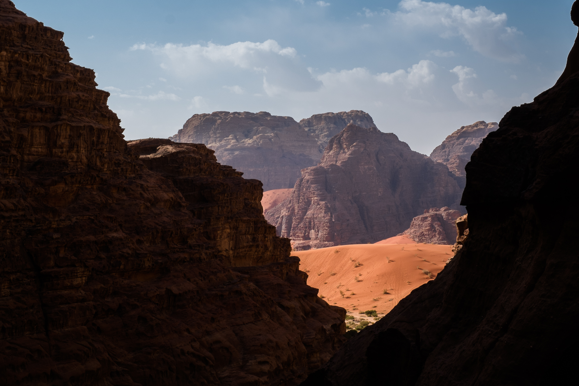 my desert site-9532.jpg